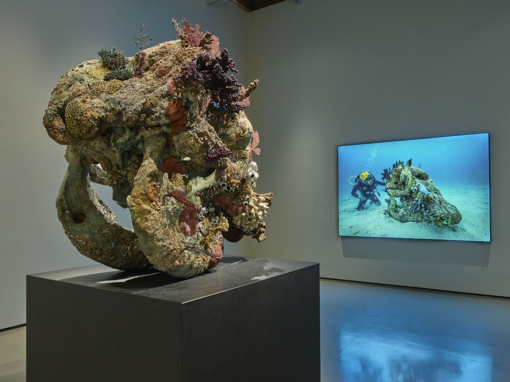 Damien Hirst's 'Skull of a Cyclops' (left) and 'Skull of a Cyclops Examined by a Diver' (right) (Christoph Gerigk/Prudence Cuming Associates © Damien Hirst and Science Ltd. DACS/SIAE