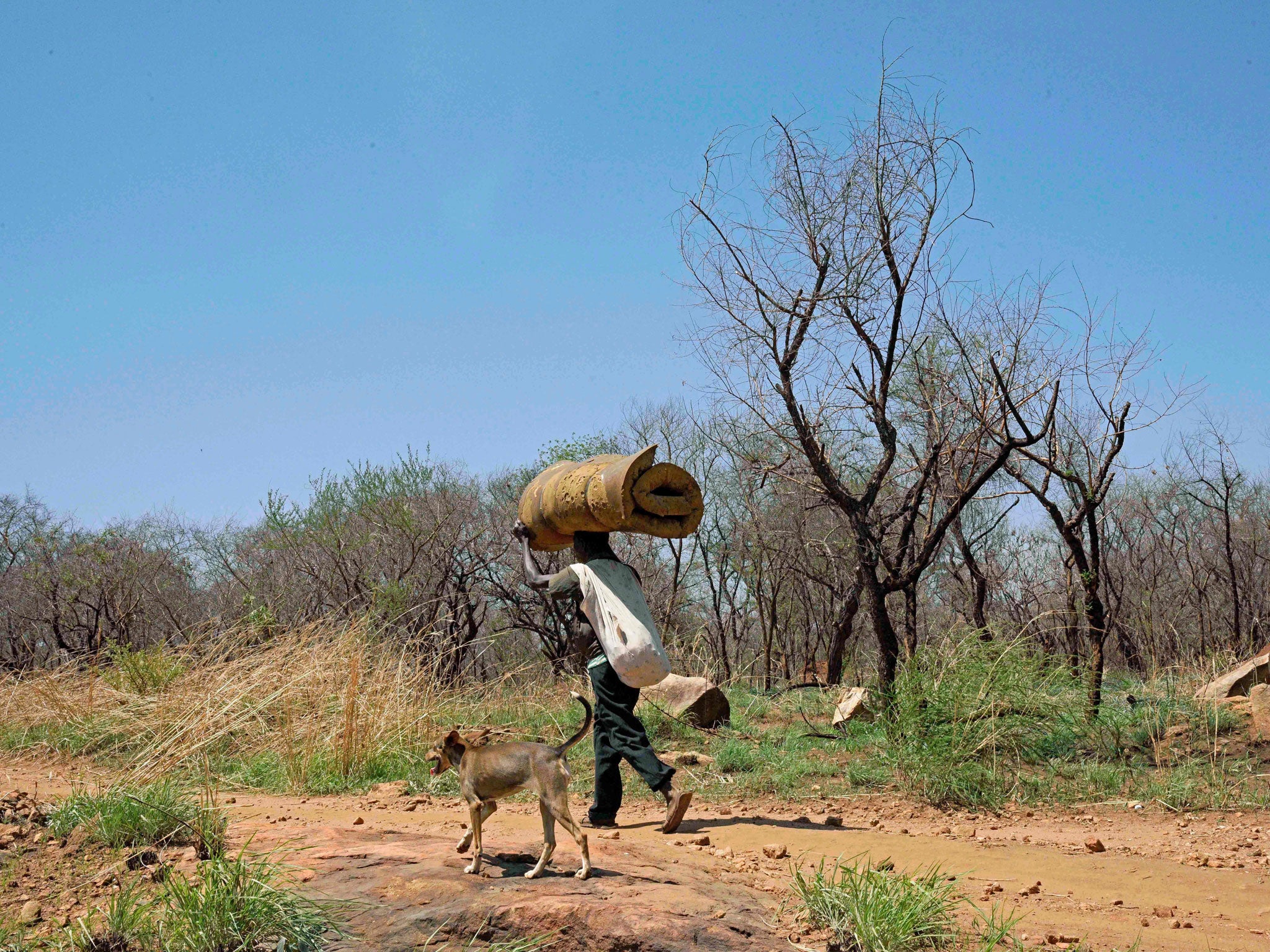 In South Sudan, close to one in five of the population has been displaced by the drought