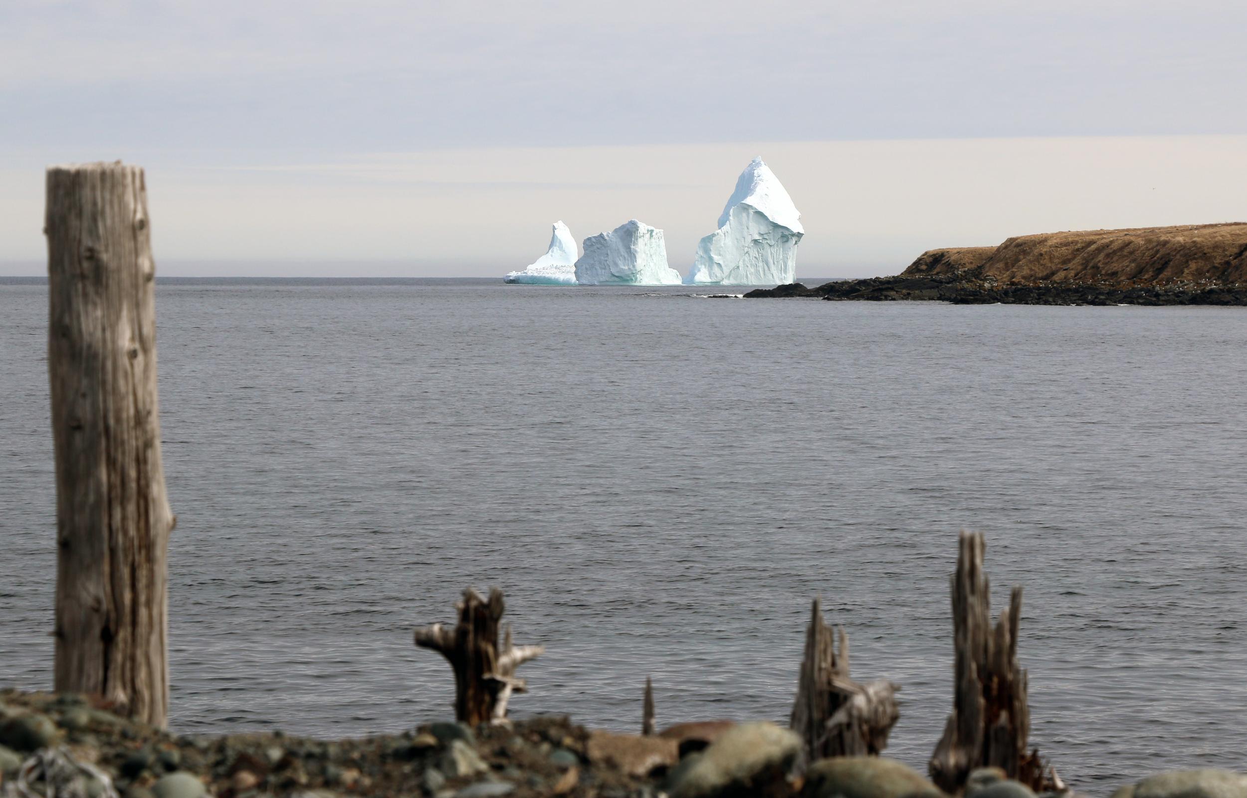 The Ferryland iceberg is so huge that you can feel its chill even miles away on the shore