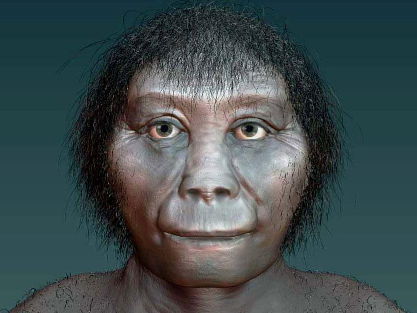 Homo floresiensis: these 'hobbits' lived far to the south of the newly discovered remains, and researchers suggest they may have been carried their by tsunamis