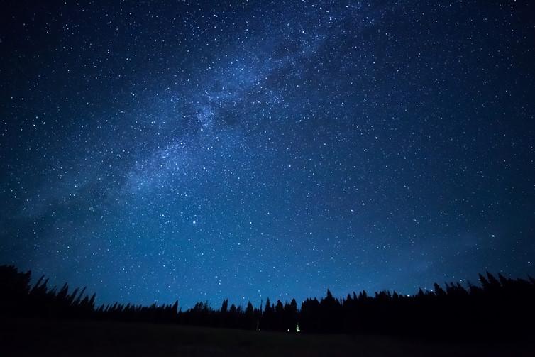 The study suggests the beetles identify a brightness difference across the night sky to set their heading