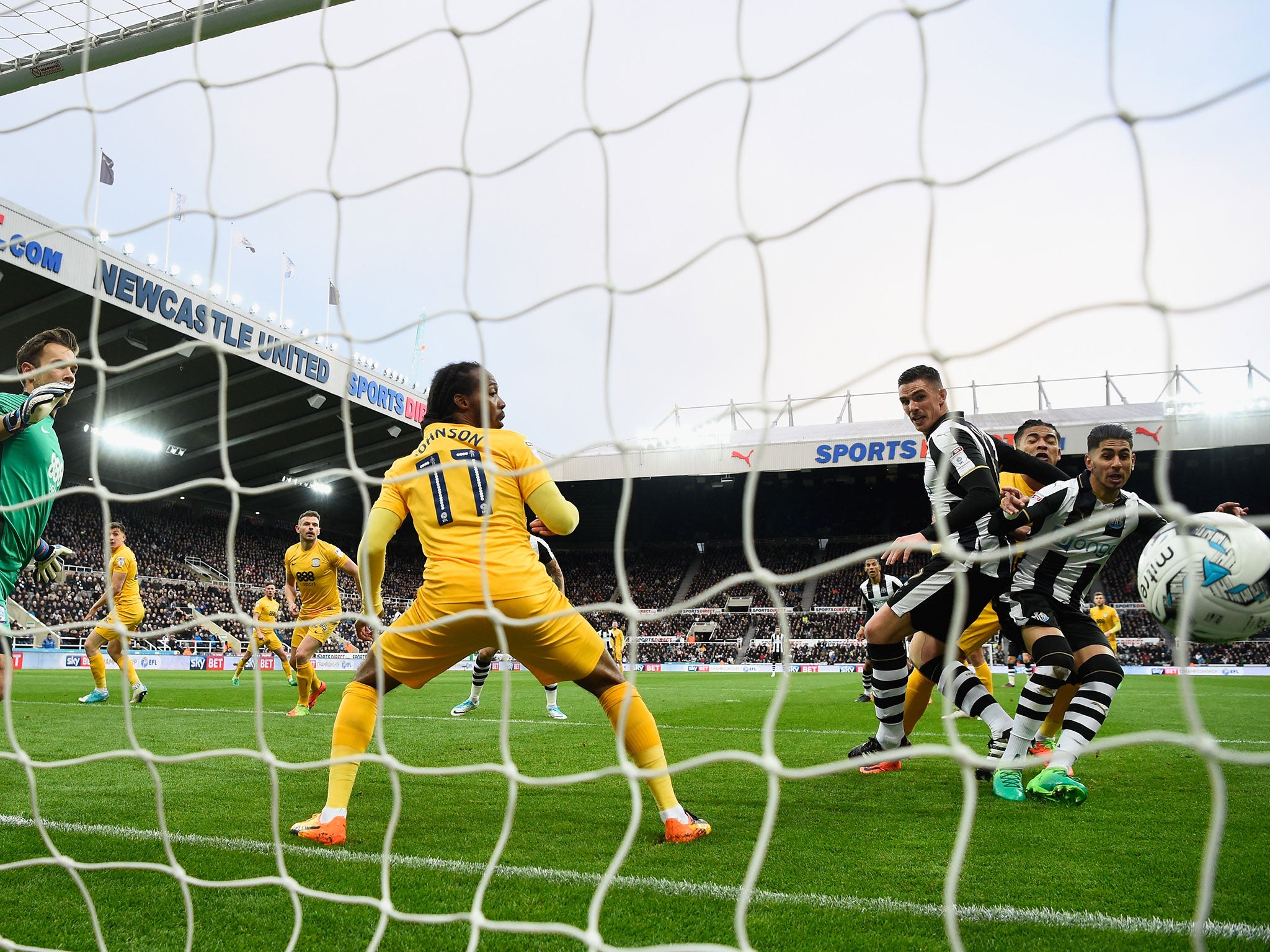 Ayoze Perez scores the opening goal for Newcastle