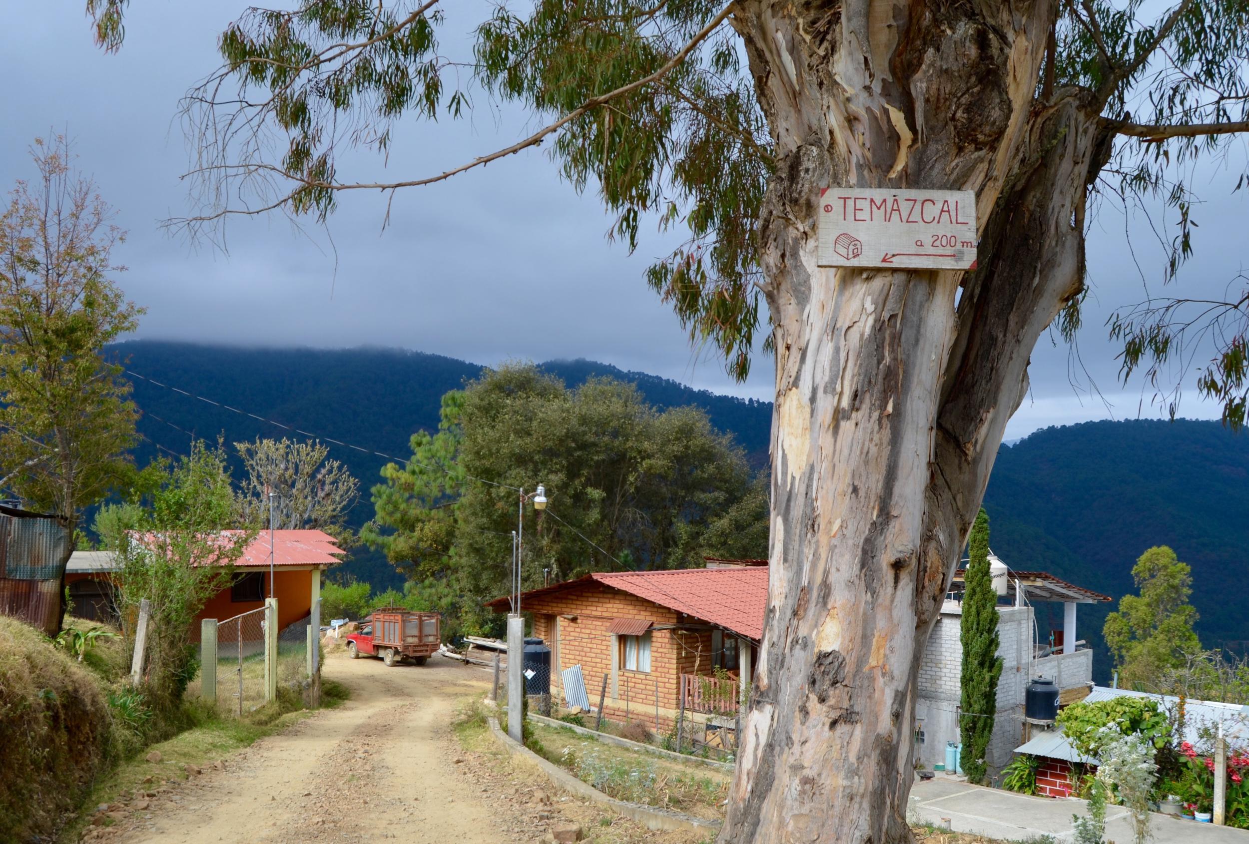 All roads lead to the temazkal sweat lodge in Latuvi