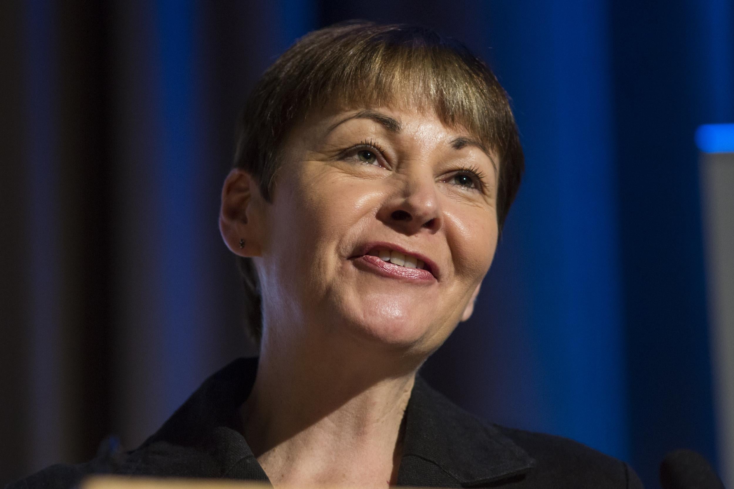 Caroline Lucas has been leading calls for the alliances