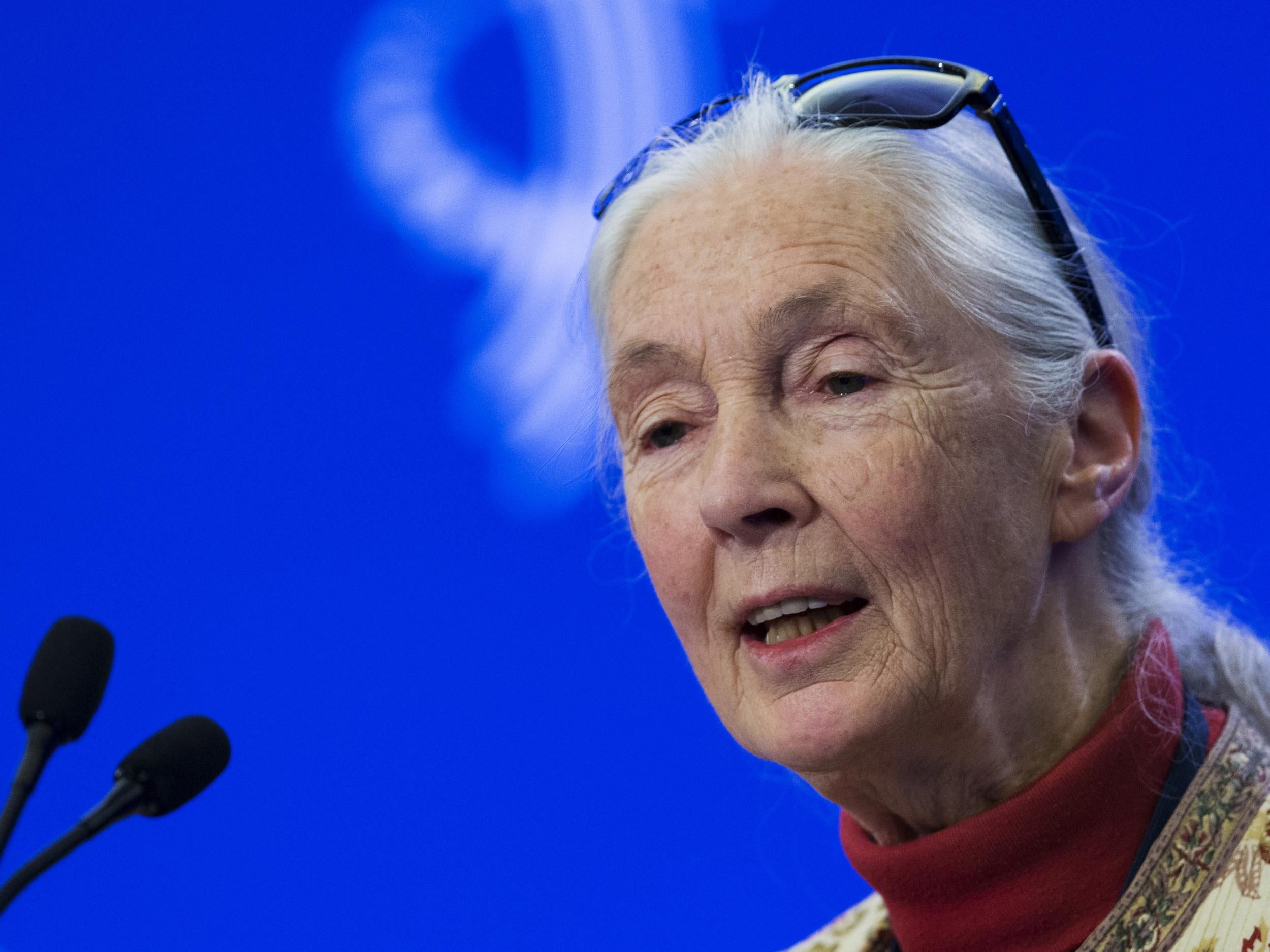 Dame Jane Goodall