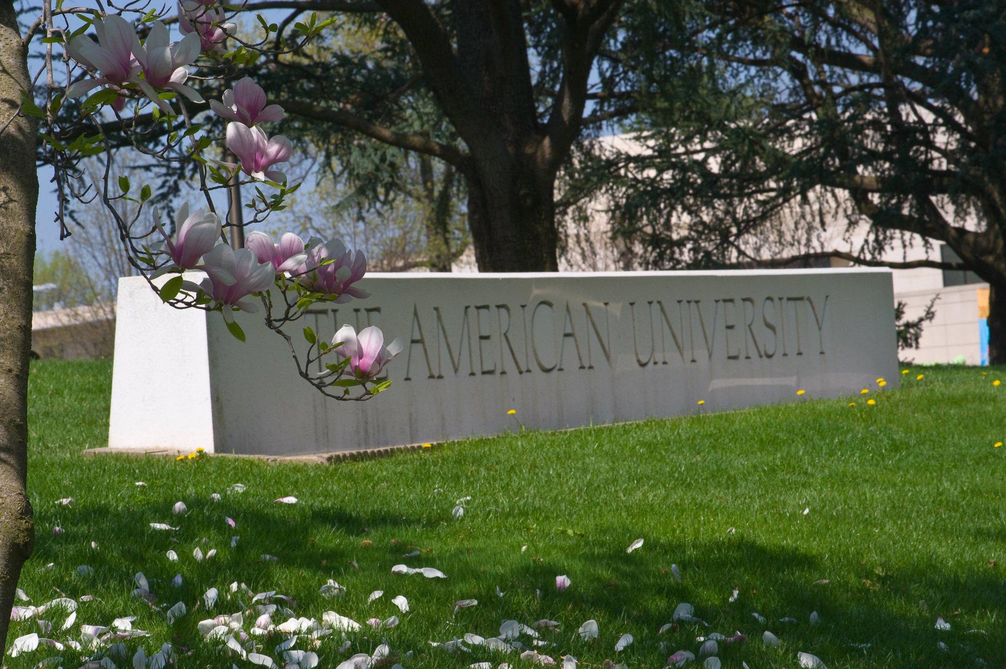 Bananas hanging from nooses were found on the American University campus in Washington, DC as the school's first black female student body president began her term