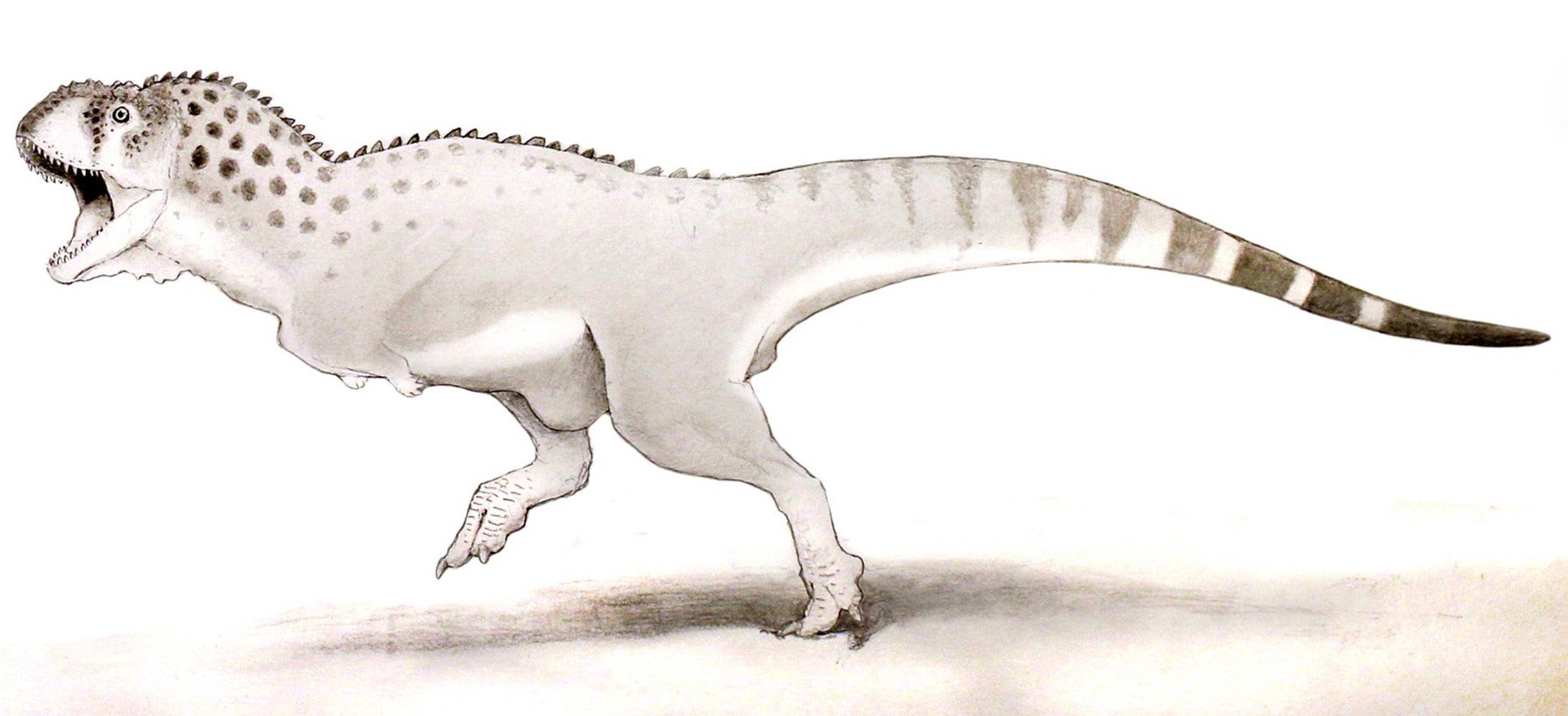 An artist's impression of a Chenanisaurus barbaricus