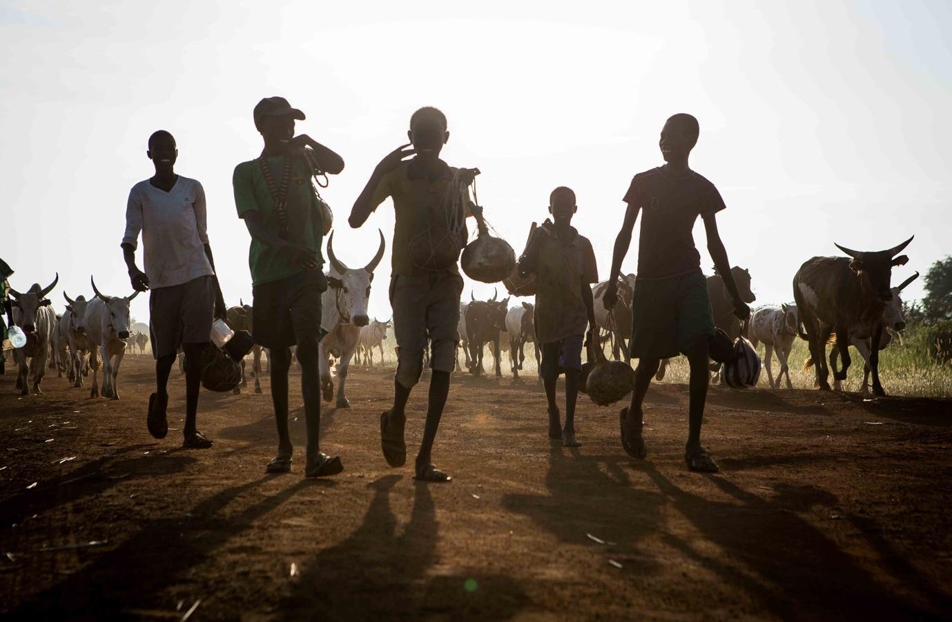 Dinka cattle herders starting their migration in South Sudan