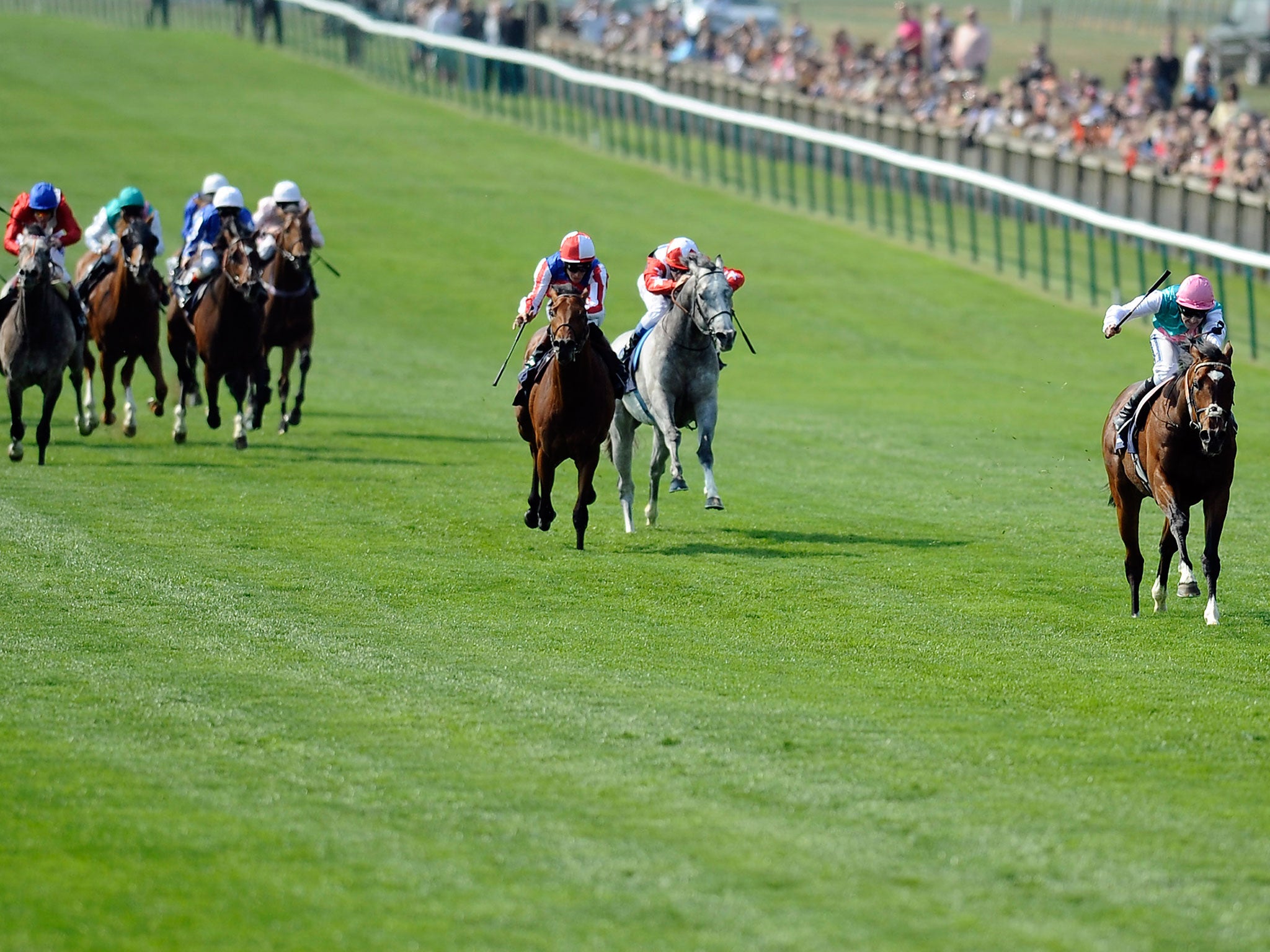 Frankel blew away the opposition six years ago