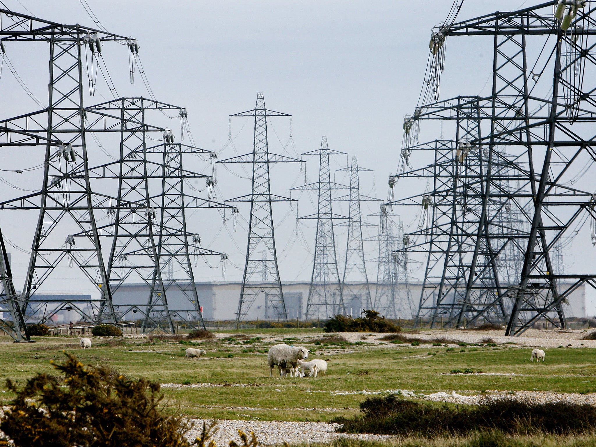 Theresa May has vowed to cap energy tariffs