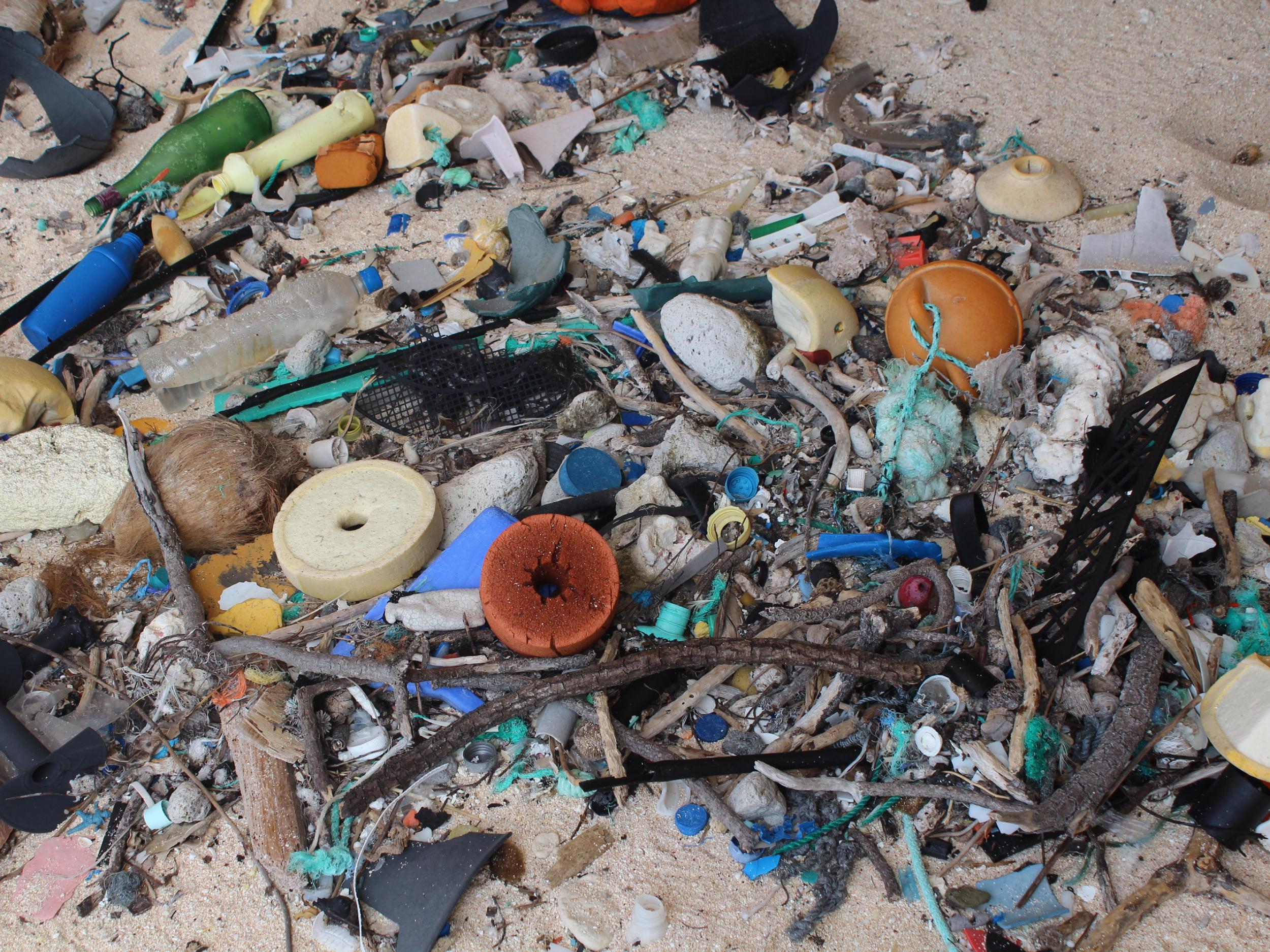 Plastic debris on East Beach, Henderson Island