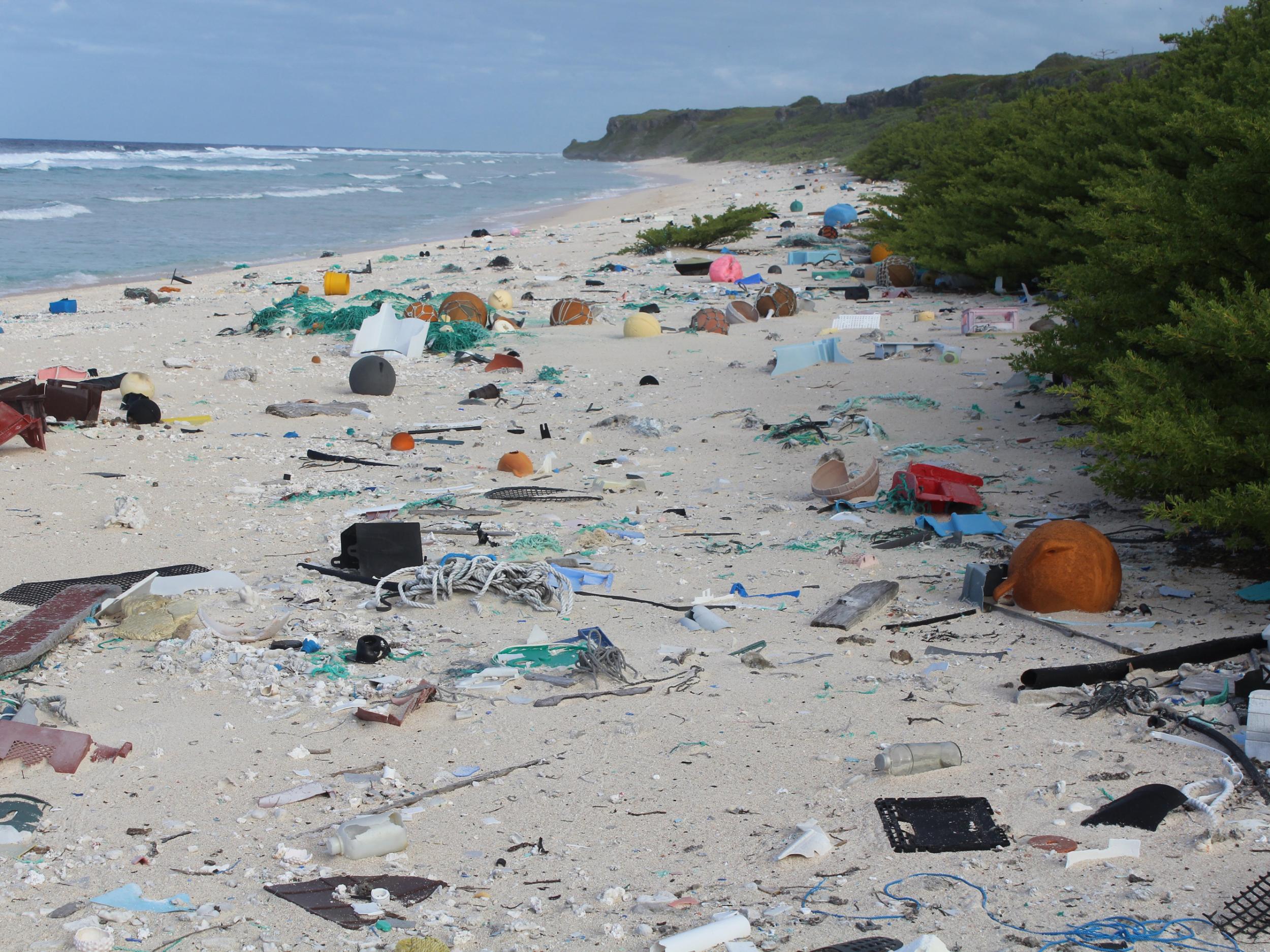 East Beach, Henderson Island