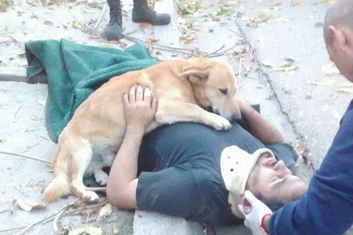 Tony the dog stays with his owner Jesus Hueche as paramedics arrive