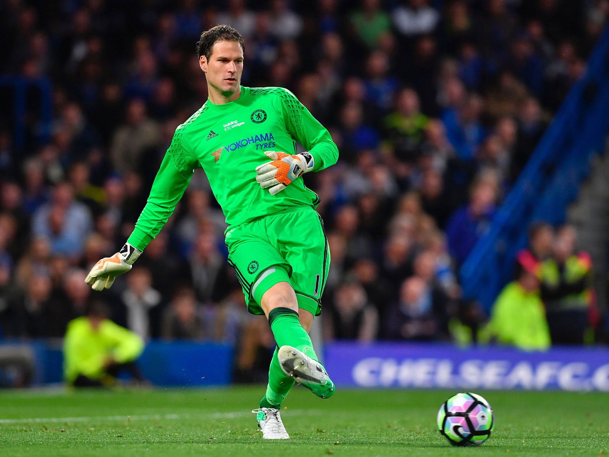 &#13;
Begovic wants Terry to join him at Bournemouth &#13;