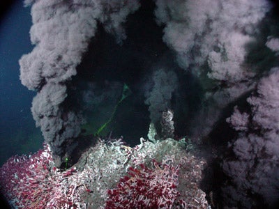 A black smoker, or hydrothermal vent