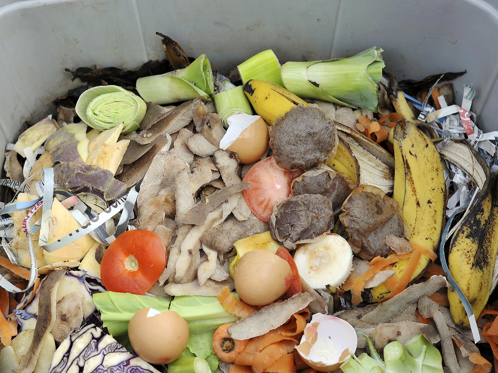 Americans waste quite a bit of food each year