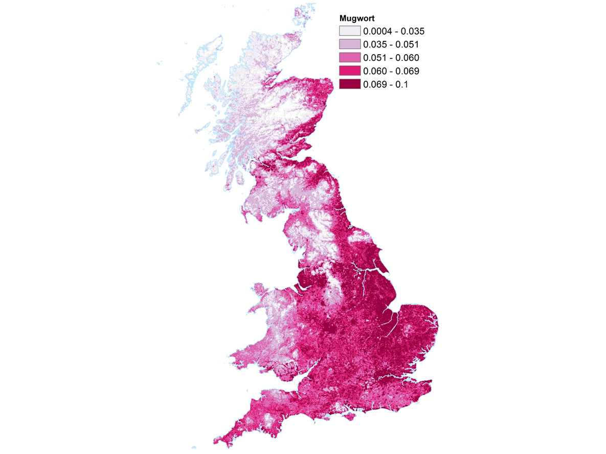 The maps show where there are high concentrations of pollen from trees and plants including alder, ash, birch, dock and mugwort