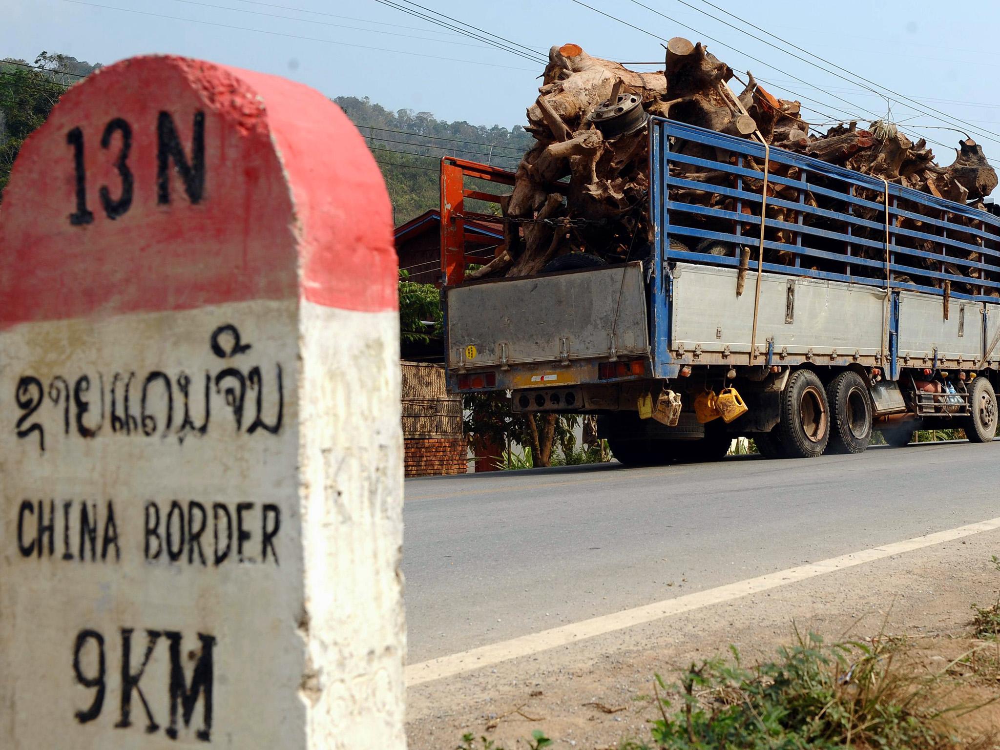 Trucks transport timber toward the China/Loas border on a road at Bopiat village