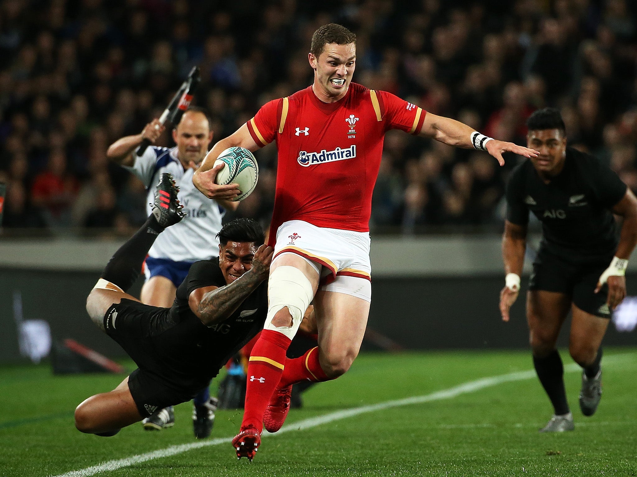 North missed Wales' autumn internationals with a knee injury