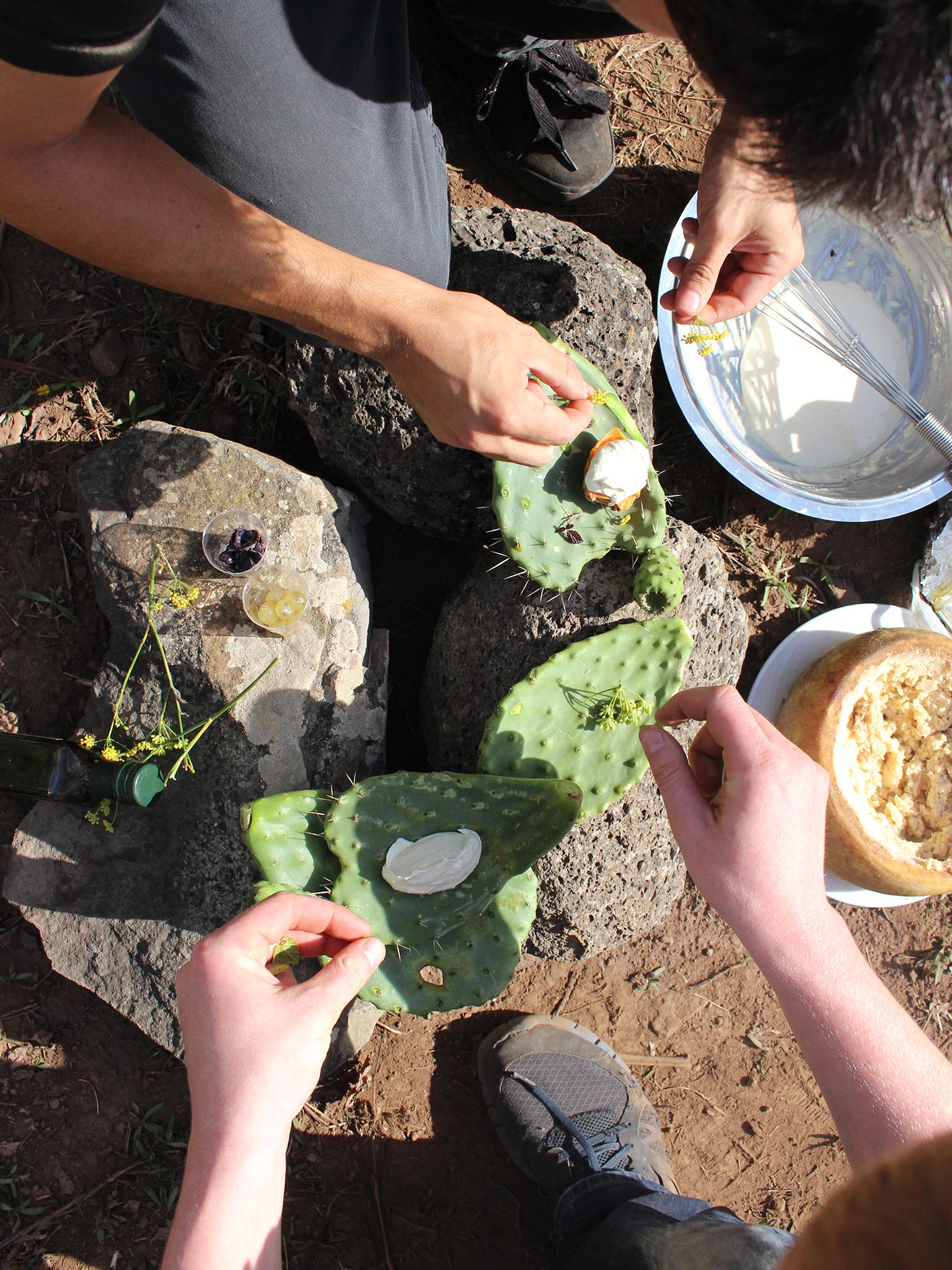 The Nordic Food Lab team preparing larvae cheese in Sardinia (Nordic Food Lab)