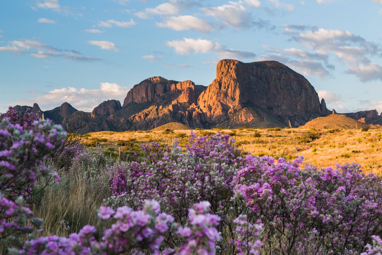 Chisos Mountains, a popular attraction in the Big Bend National Park, Texas