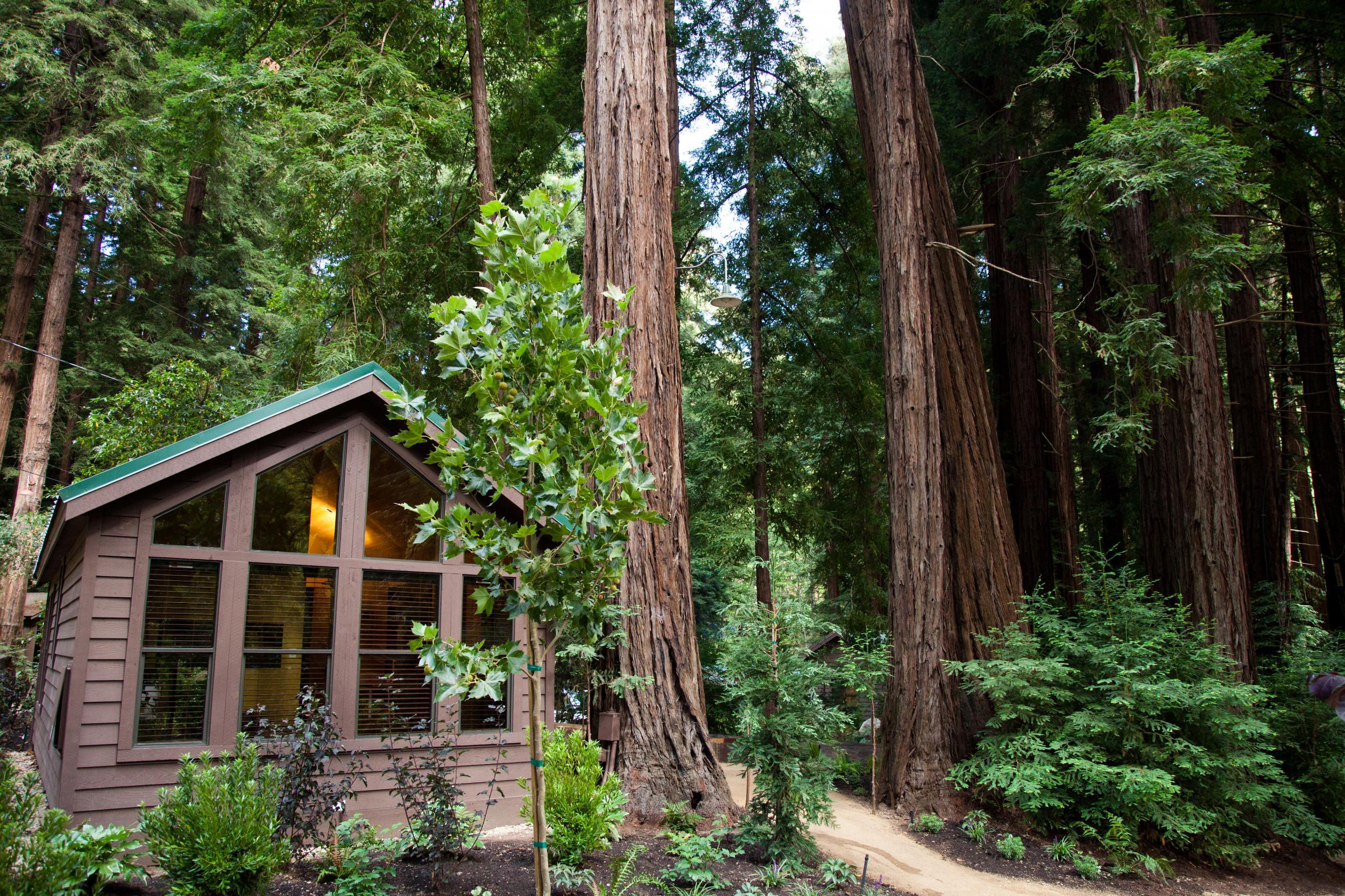 A woodland cabin at Glen Oaks, which remains open on the north side of the demolished bridge (Onyx &amp; Ash)