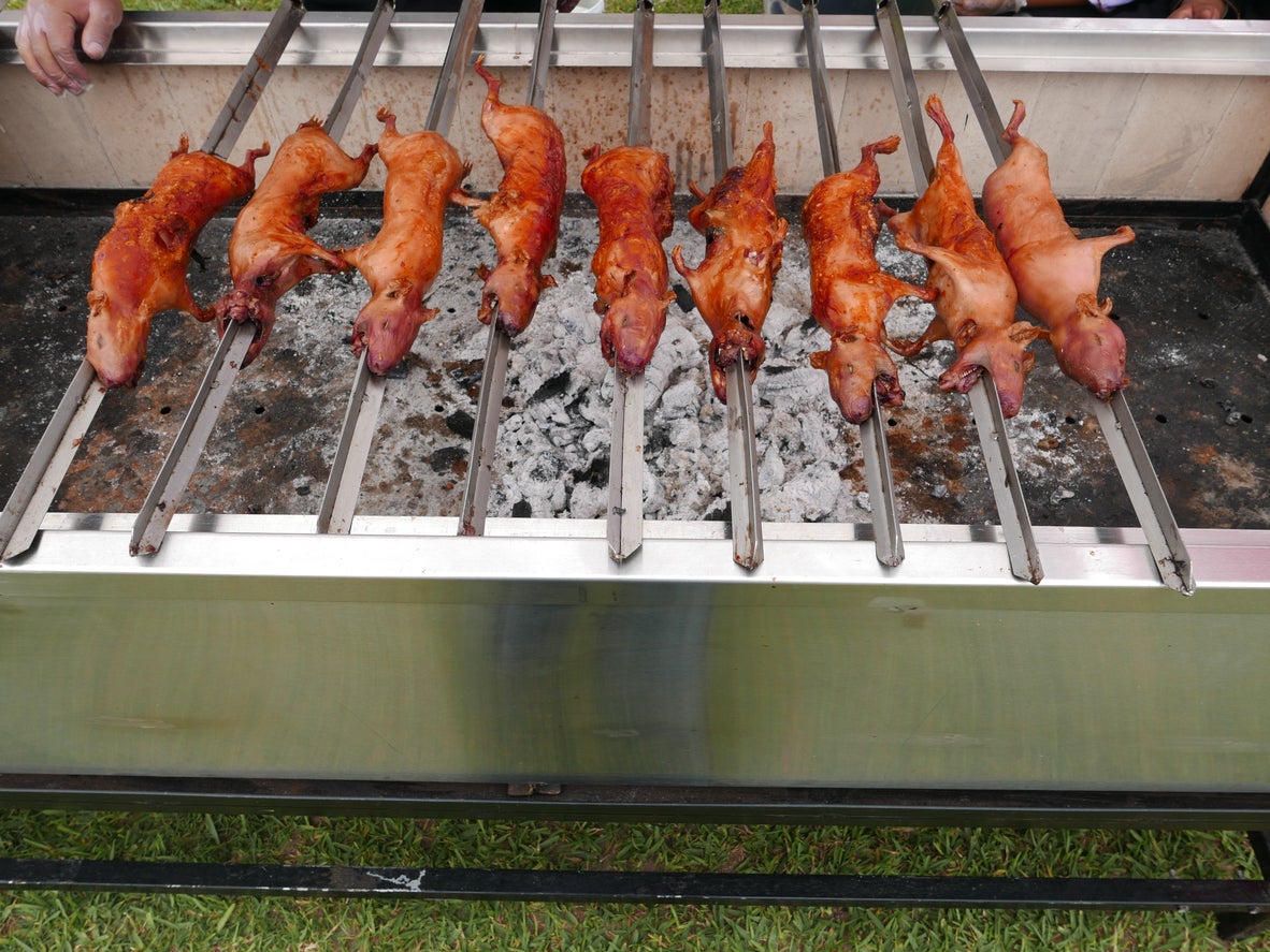 Whole guinea pigs roasting in Lima, Peru