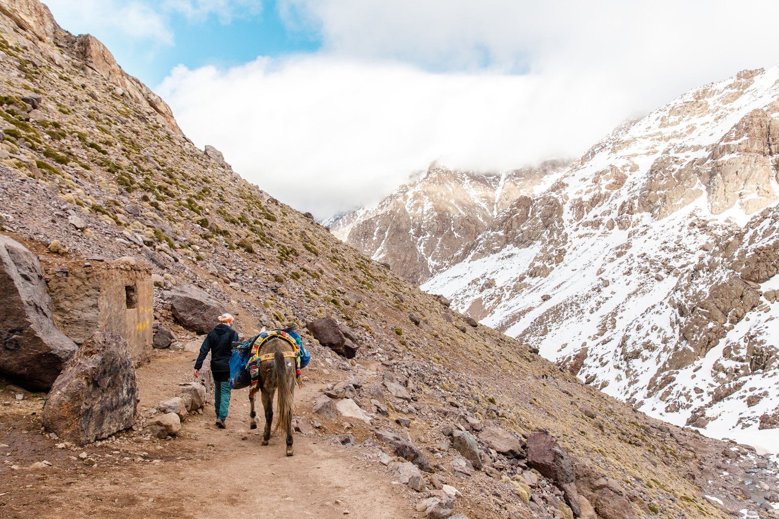 Guides take food and drink up the mountain for guests