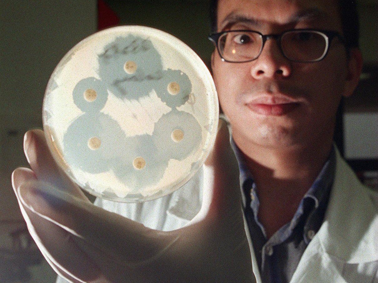 A medical technologist holds a drug-resistant Staphylococcus aureus culture, as medical experts hold urgent talks on how to fight the vancomycin-resistant bacteria