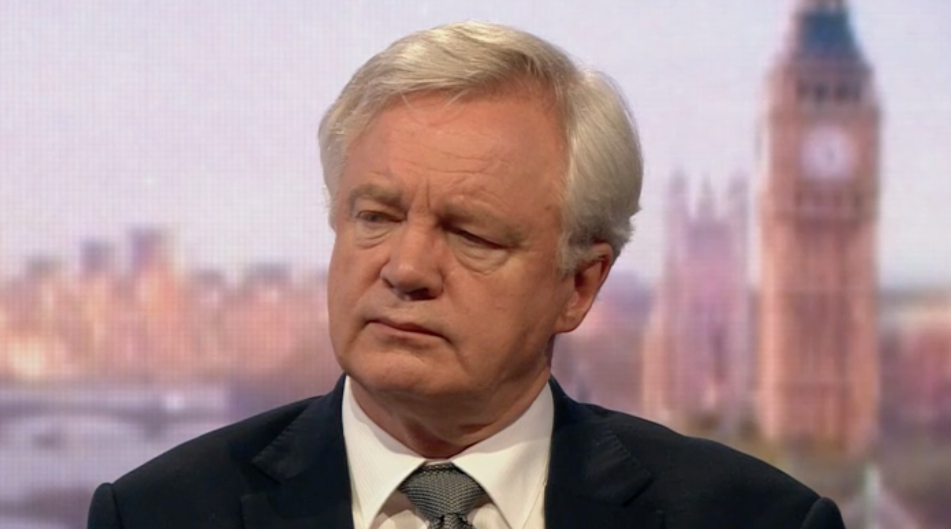 Brexit Secretary David Davis said the election should go on