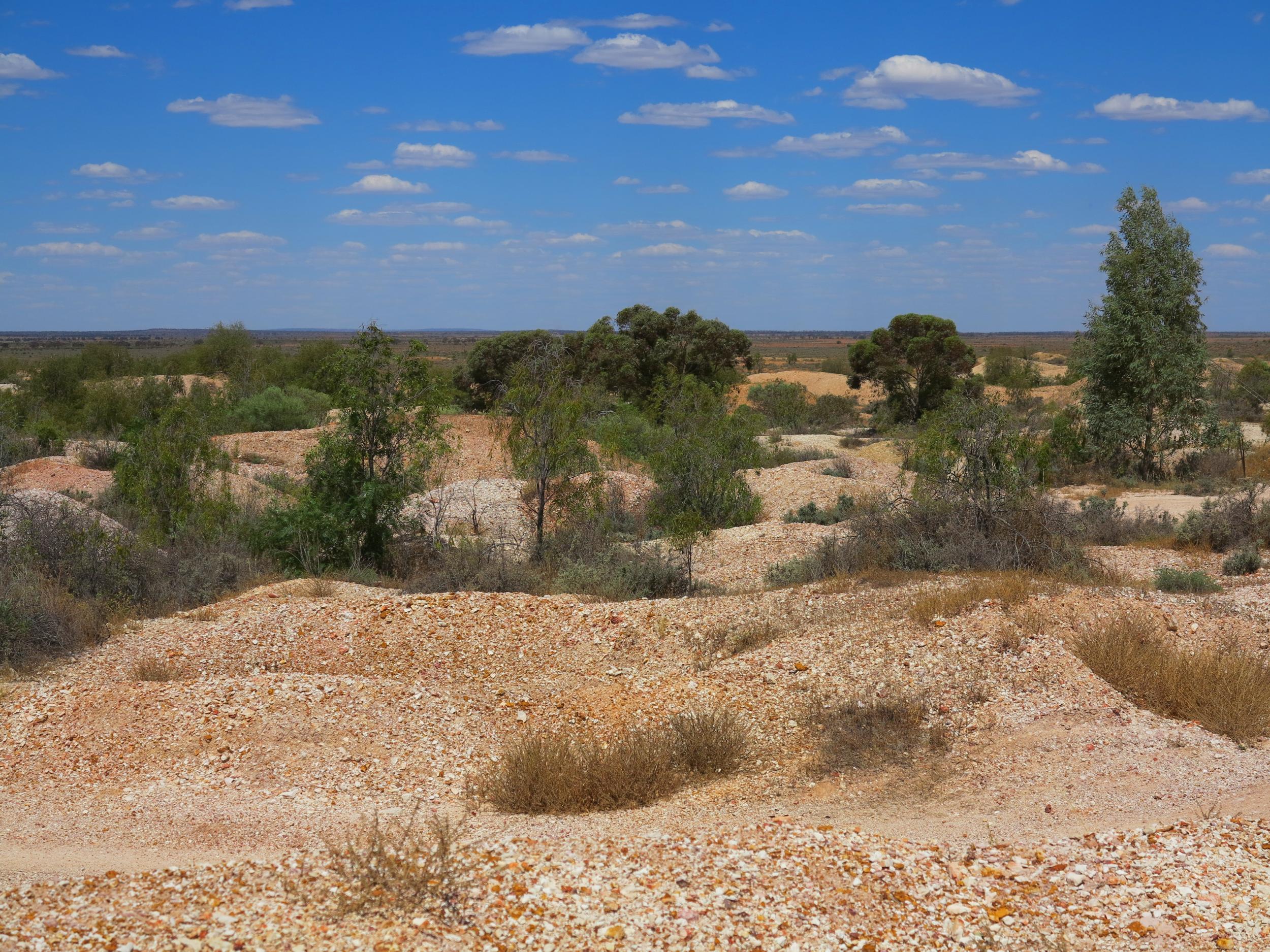 At the 2011 census, White Cliffs had a population of 103