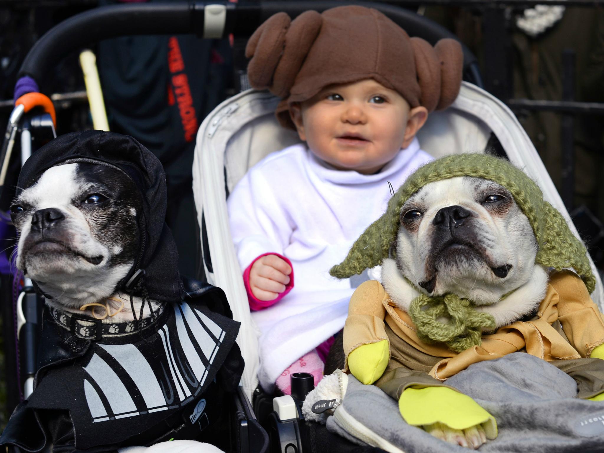 Dogs and baby dressed as characters from 'Star Wars' attend the 23rd Annual Tompkins Square Halloween Dog Parade on 26 October 2013 in New York City.