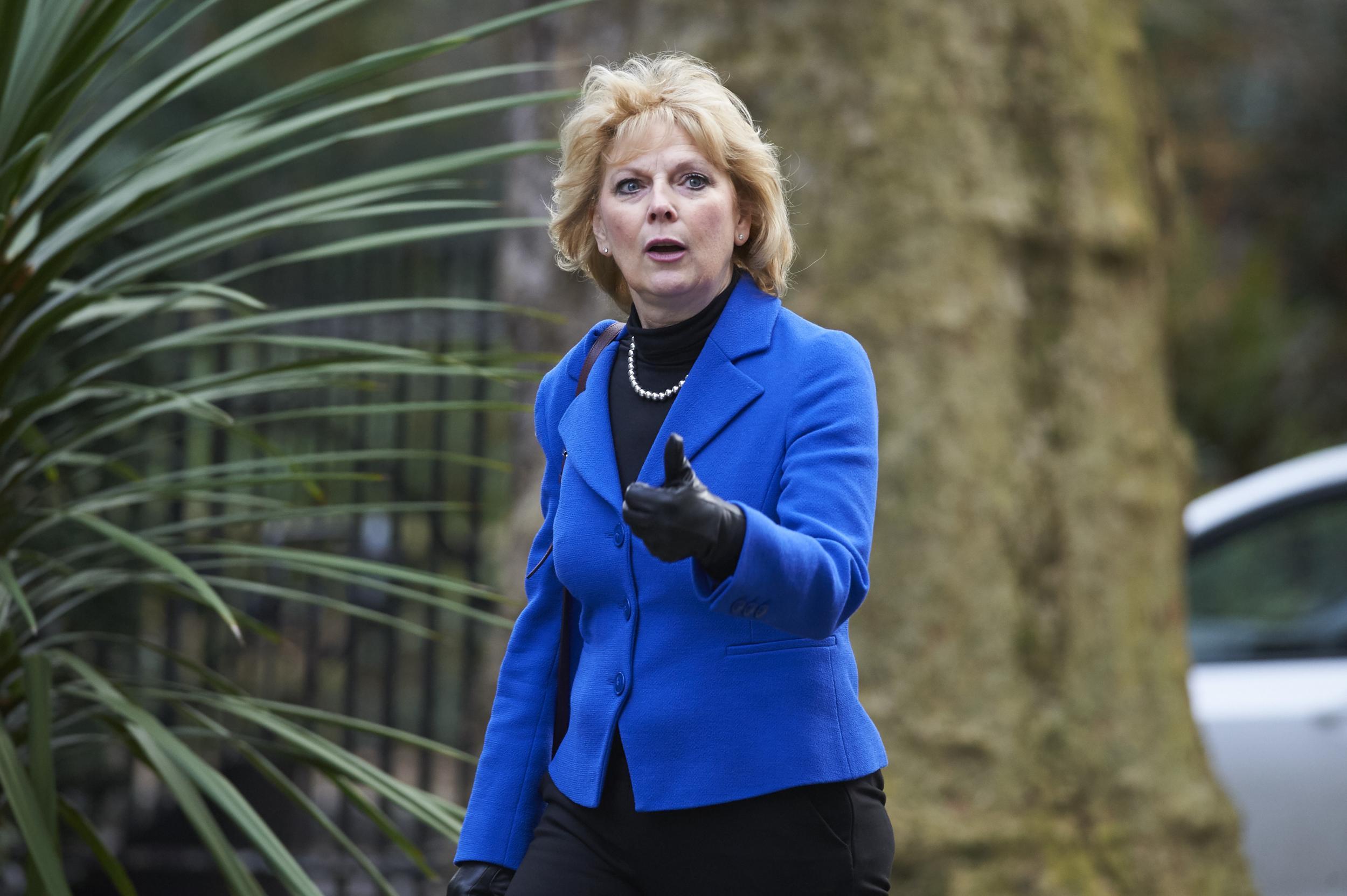 Anna Soubry said Mr Johnson would have been sacked in ‘normal times’ (AFP/Getty)