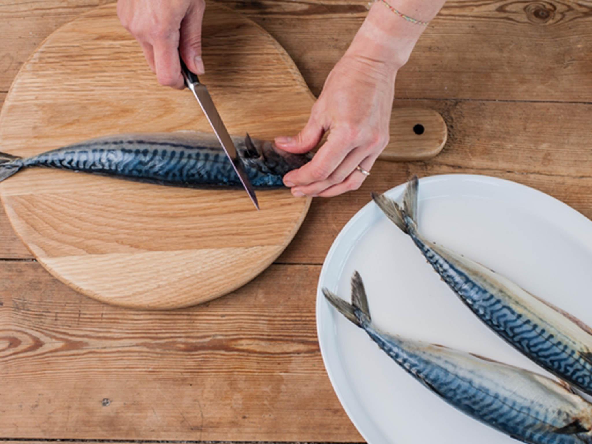 With the knife running parallel to the curve of the gills, make an incision behind the pectoral fin of the mackerel, until the knife hits the backbone