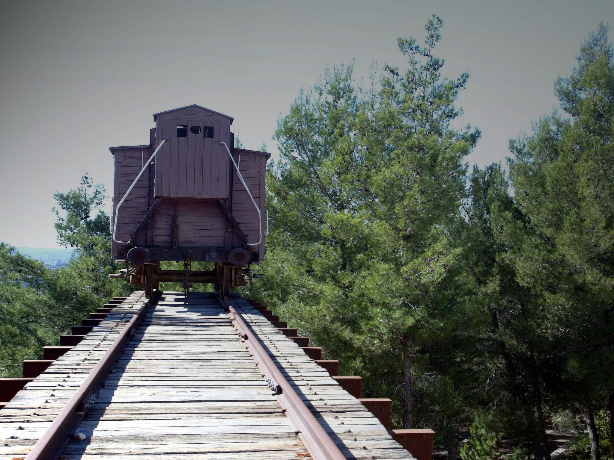 A typical style of train used for transports to the camps which is preserved at the Yad Vashem museum