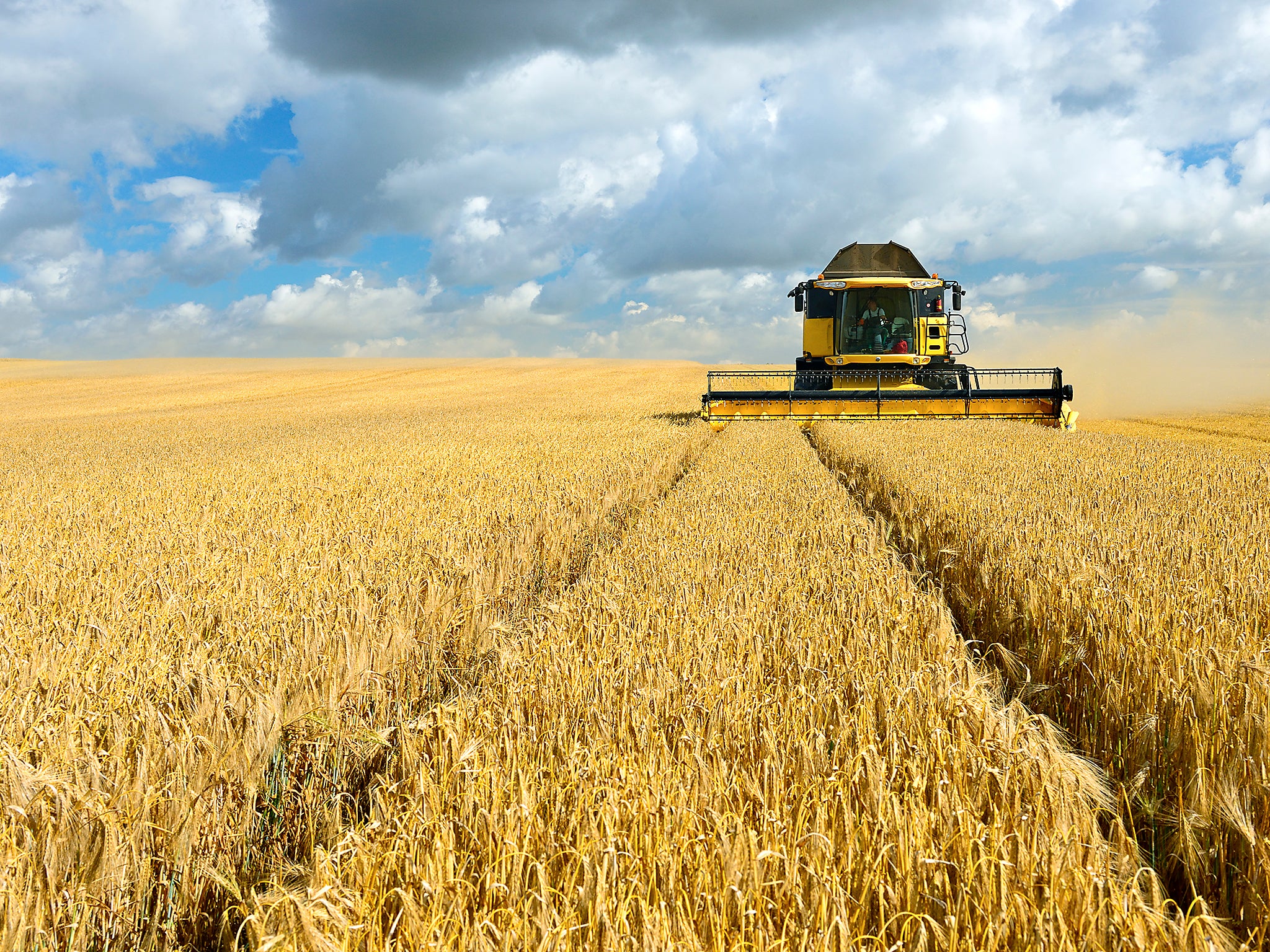 Theresa May said farmers 'weren't too happy' when she and a friend ran through their wheat fields when she was younger