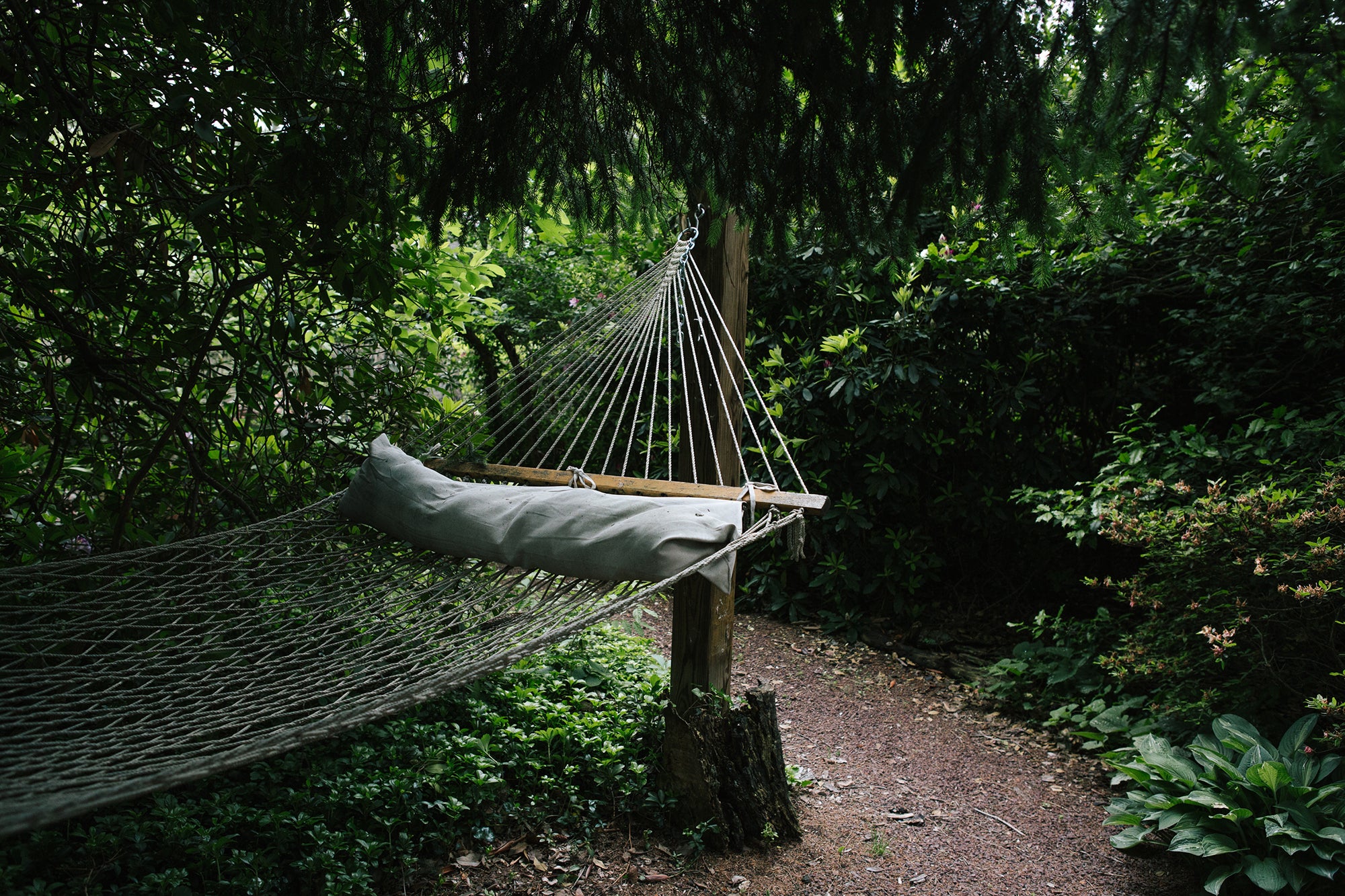 In addition to a hammock, Carey's garden also features a children's fairy garden and a stumpery of tree trunks and roots