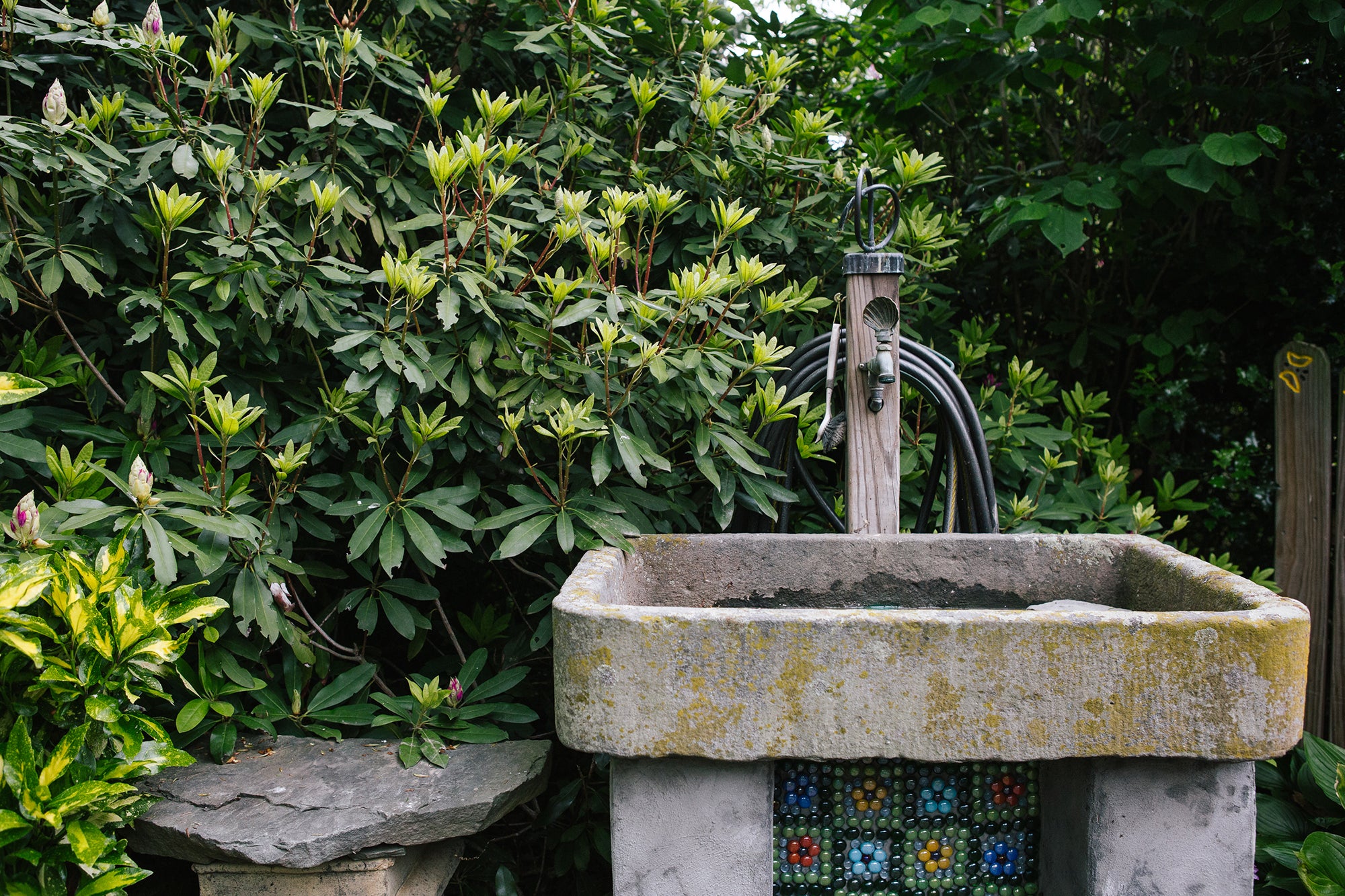 A shade garden can be a serene environment away from the chaos of modern life