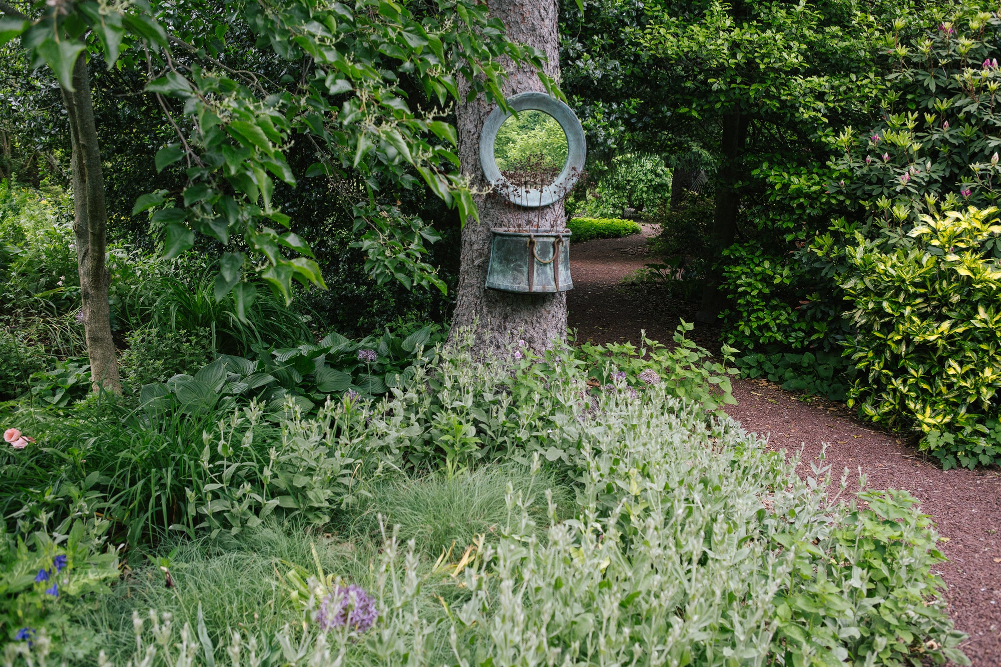 Most green thumbs think a garden needs brightly coloured flowers to be beautiful, but shade-loving leaves can be just as spectacular