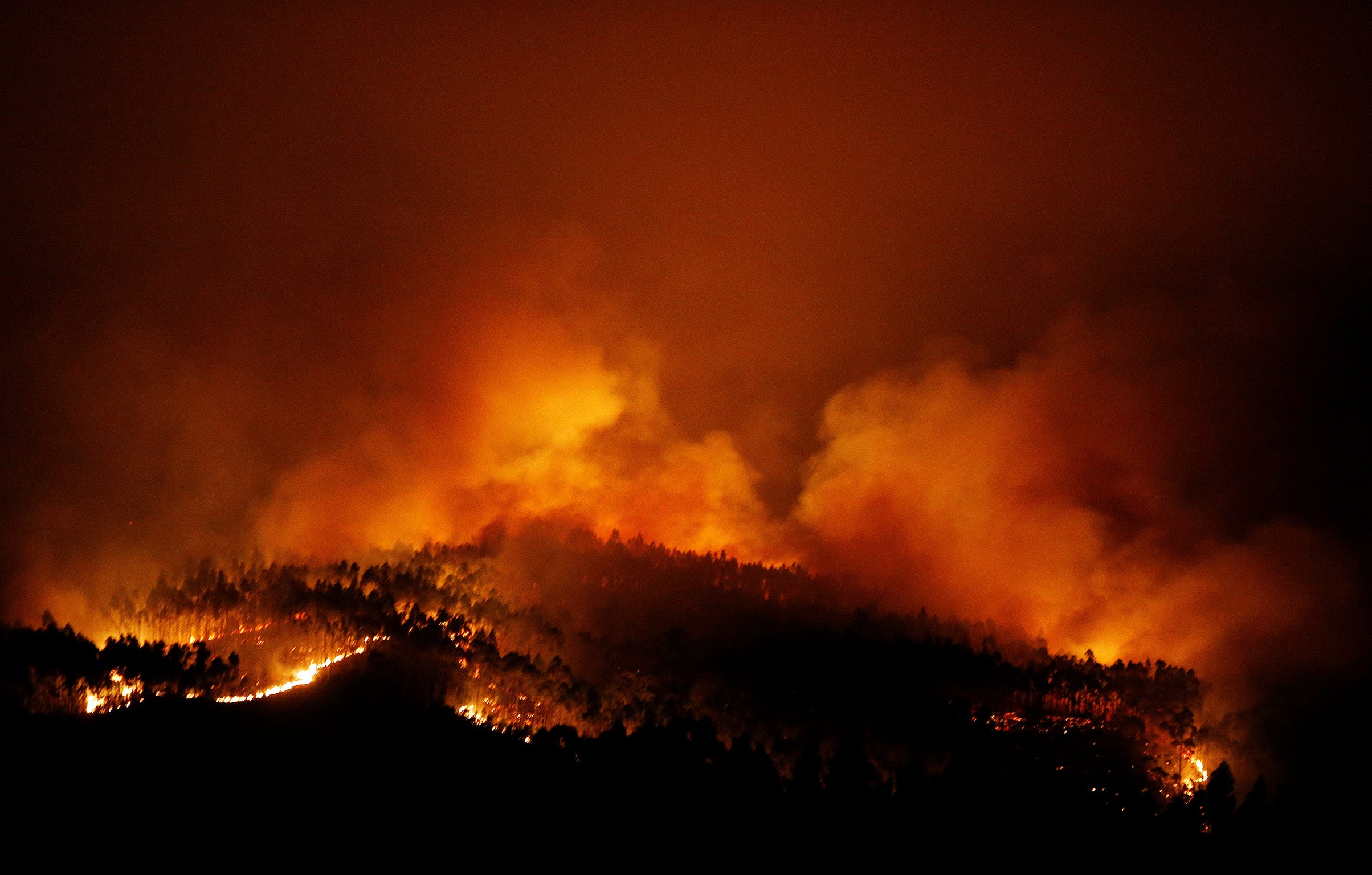 The forest fire near Tojeira, in central Portugal, which killed 64 people in June