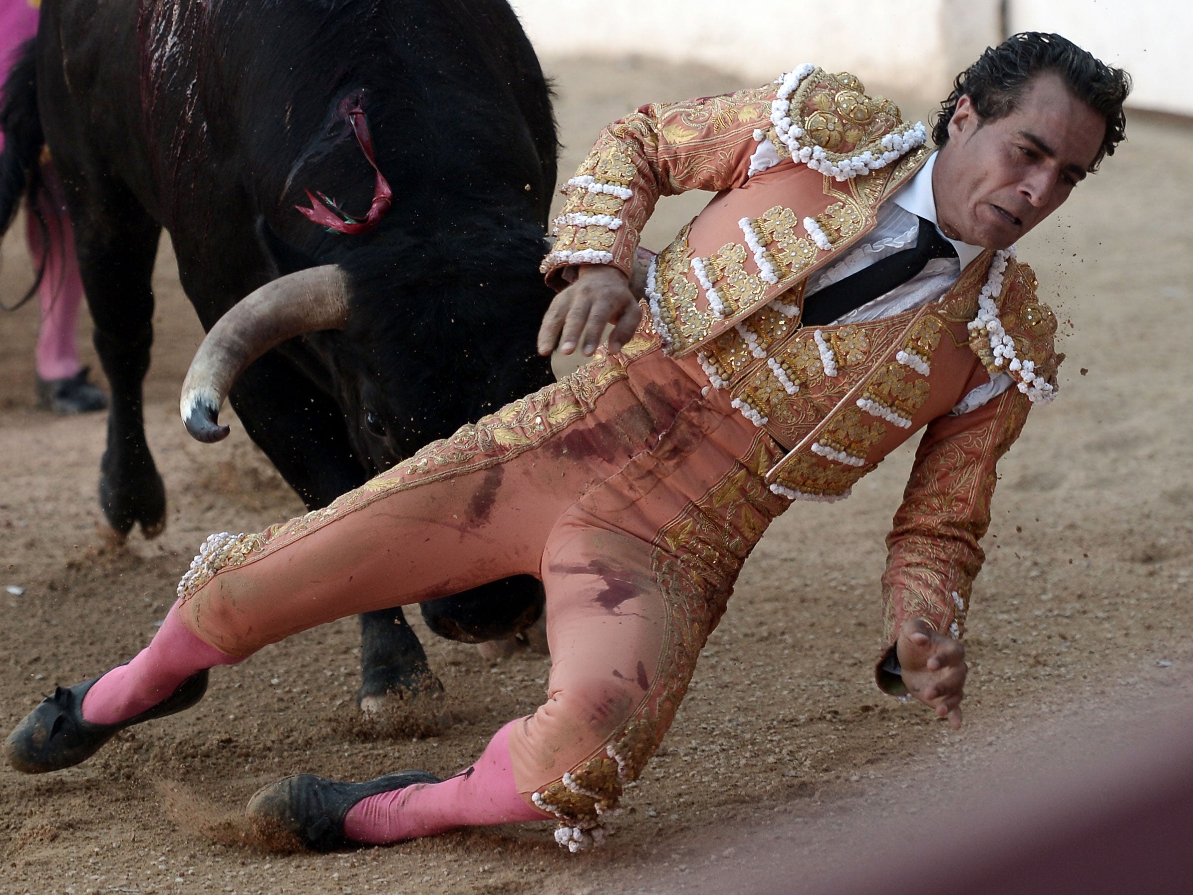 The matador was gored after tripping over his cape (Iroz gaizka/AFP/Getty Images)