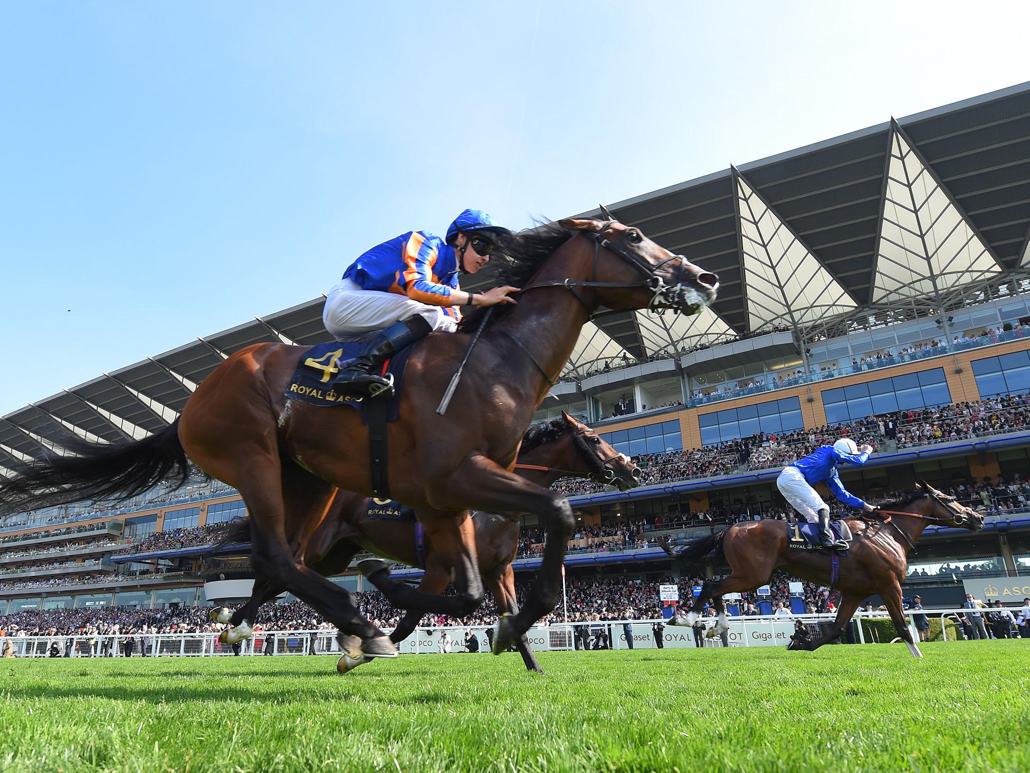 
Barney Roy swooped past Lancaster Bomber close to the line to defeat the Aidan O'Brien runner by a length 