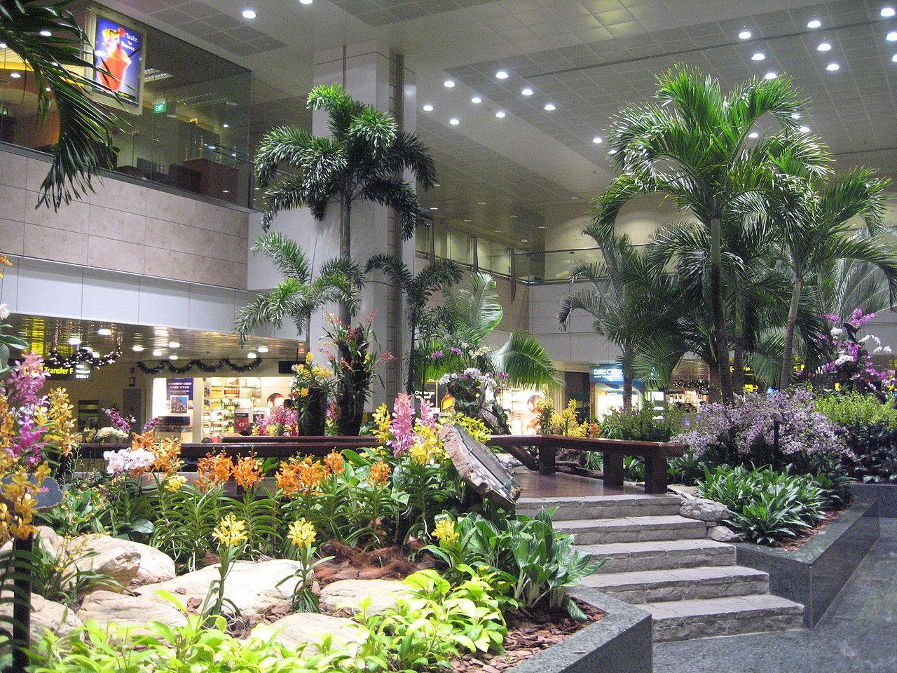 Not your average airport: Changi has garden areas with koi carp ponds