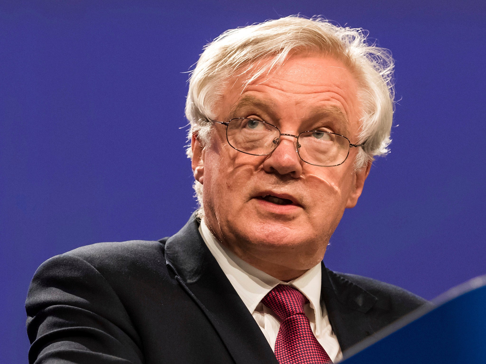 David Davis said customs checks would be ready