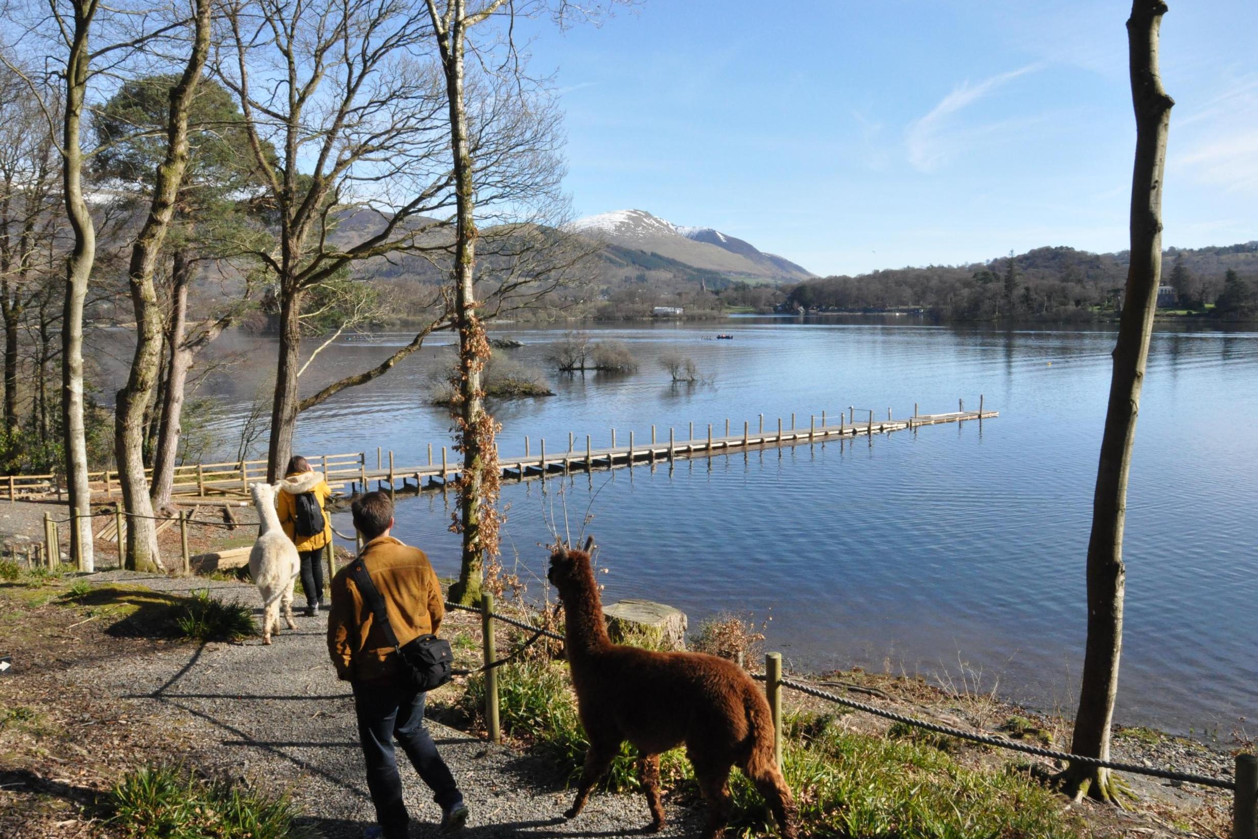 Lingholm Estate backs onto Derwentwater