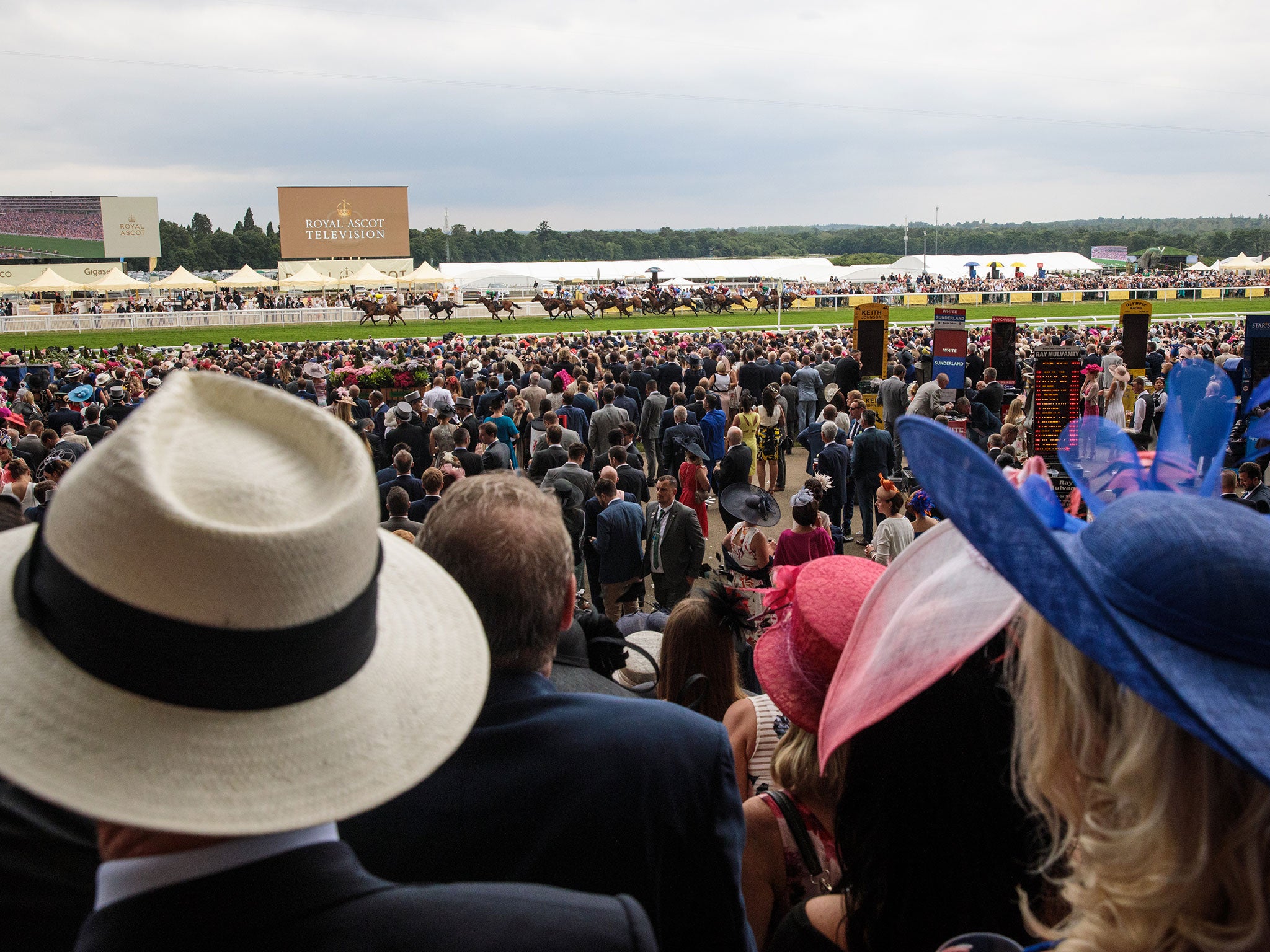 Racegoers look on during a race at Royal Ascot