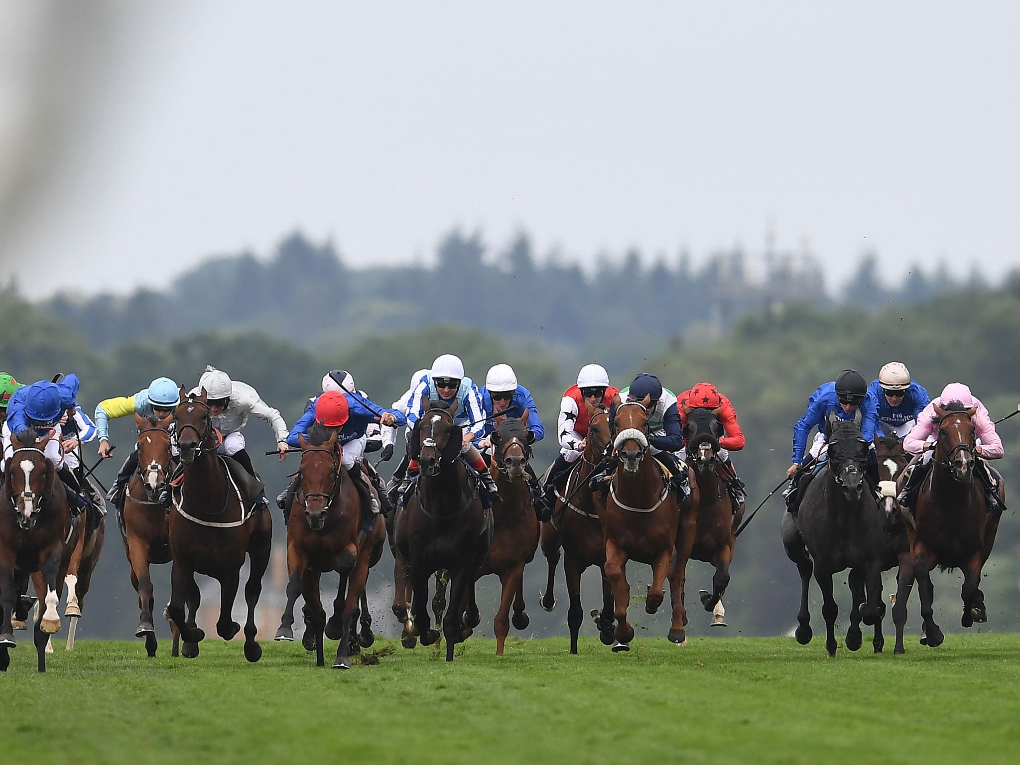 Runners and riders charge down the final straight in the King George V Stakes on Day Three of Royal Ascot