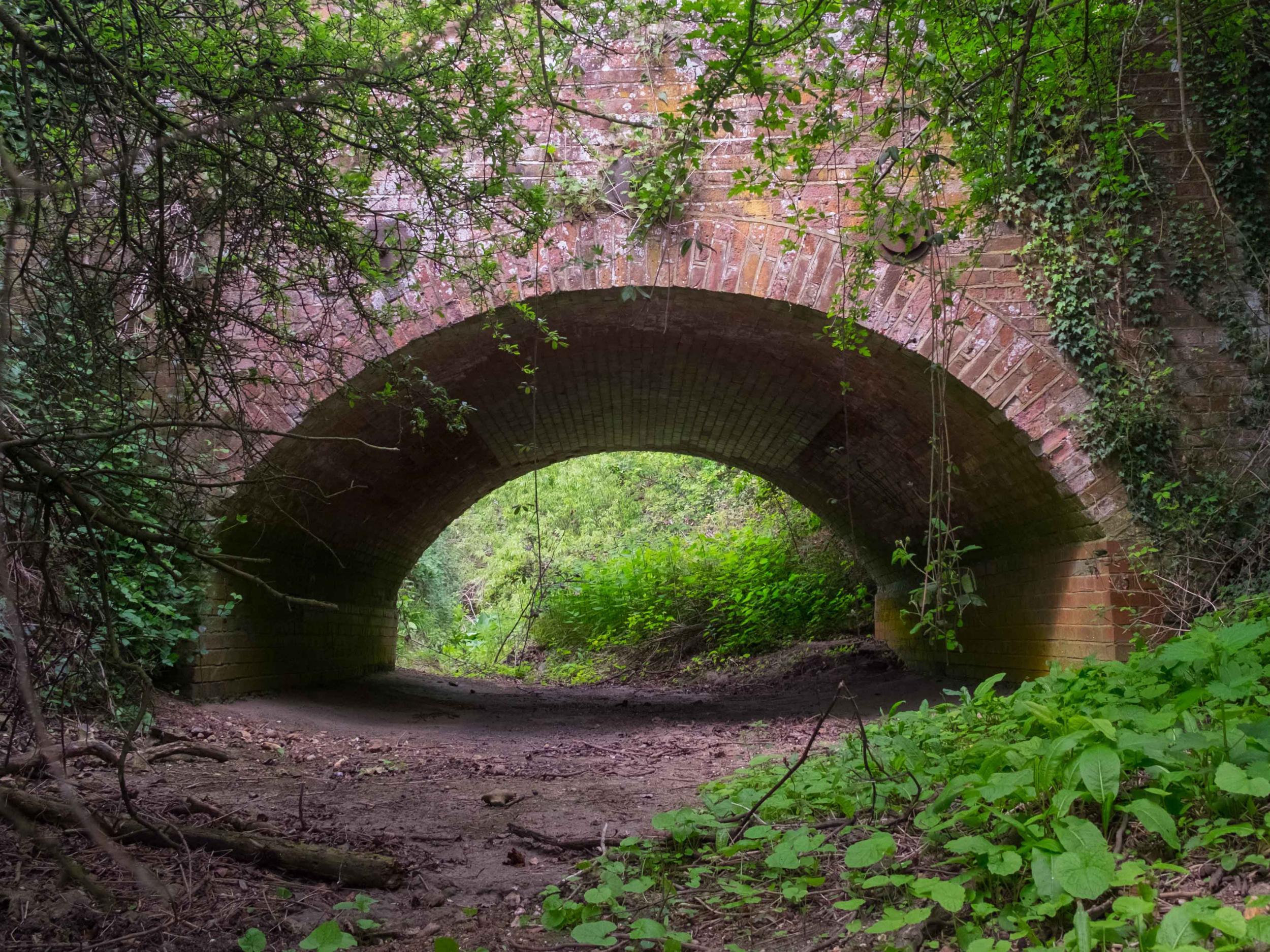 A river doesn't run through it: the River Quin in Hertfordshire is not living up to its name