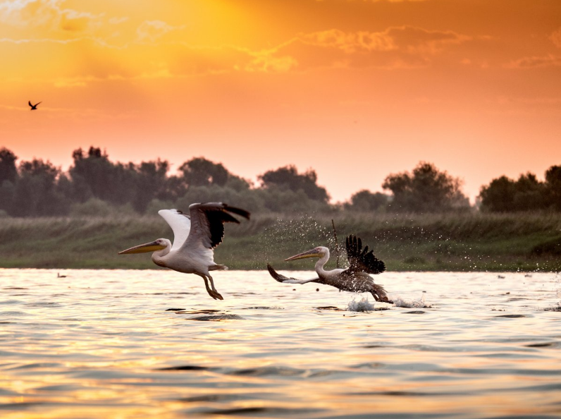 (Radu Dumitrescu-Elian / 500px.com