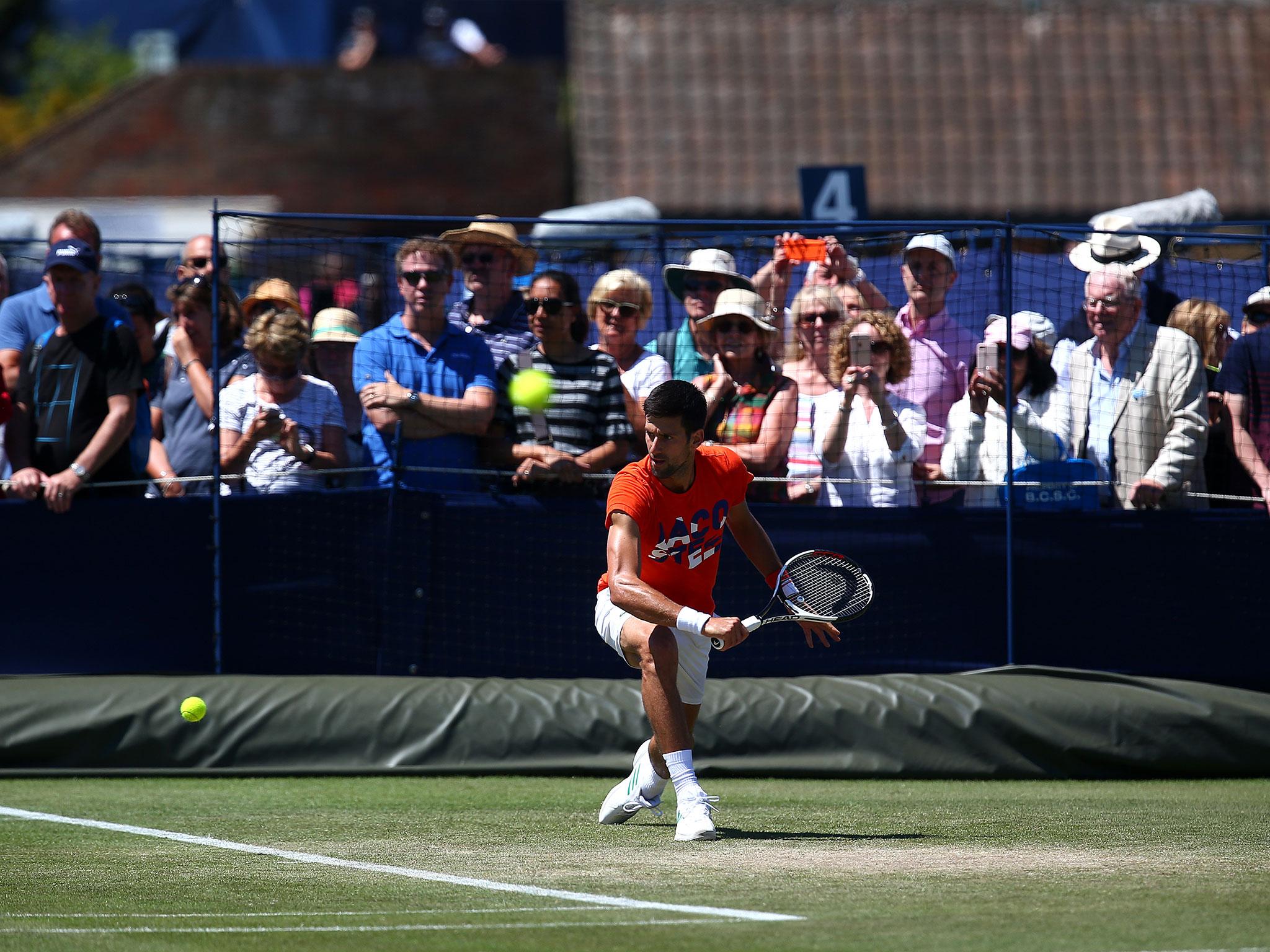 &#13;
Djokovic in training at Eastbourne &#13;